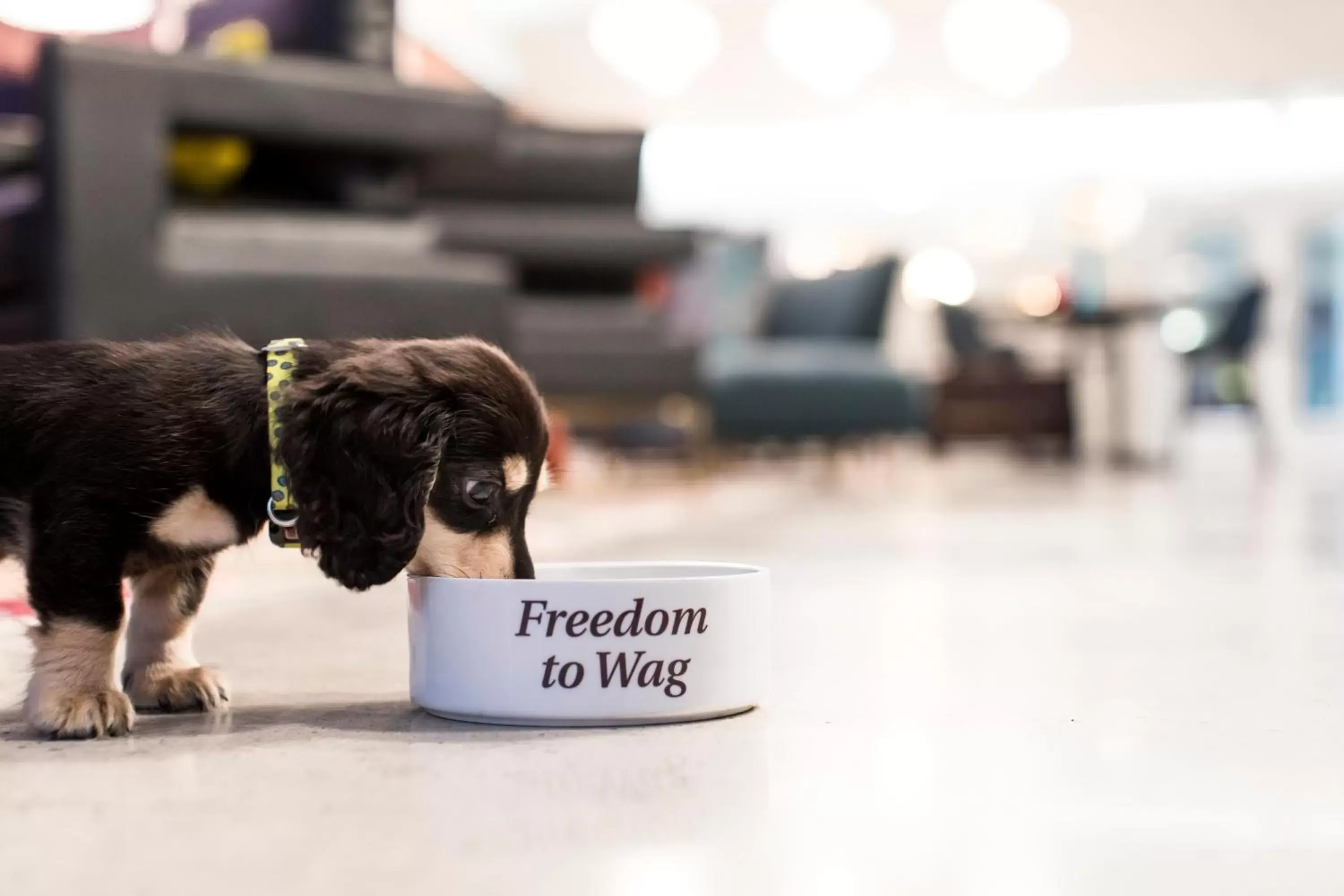 Queen Room with Two Queen Beds and Pool View in Unscripted Durham, Part of JDV by Hyatt Queen Room with Two Queen Beds and Pool View in Unscripted Durham, Part of JDV by Hyatt