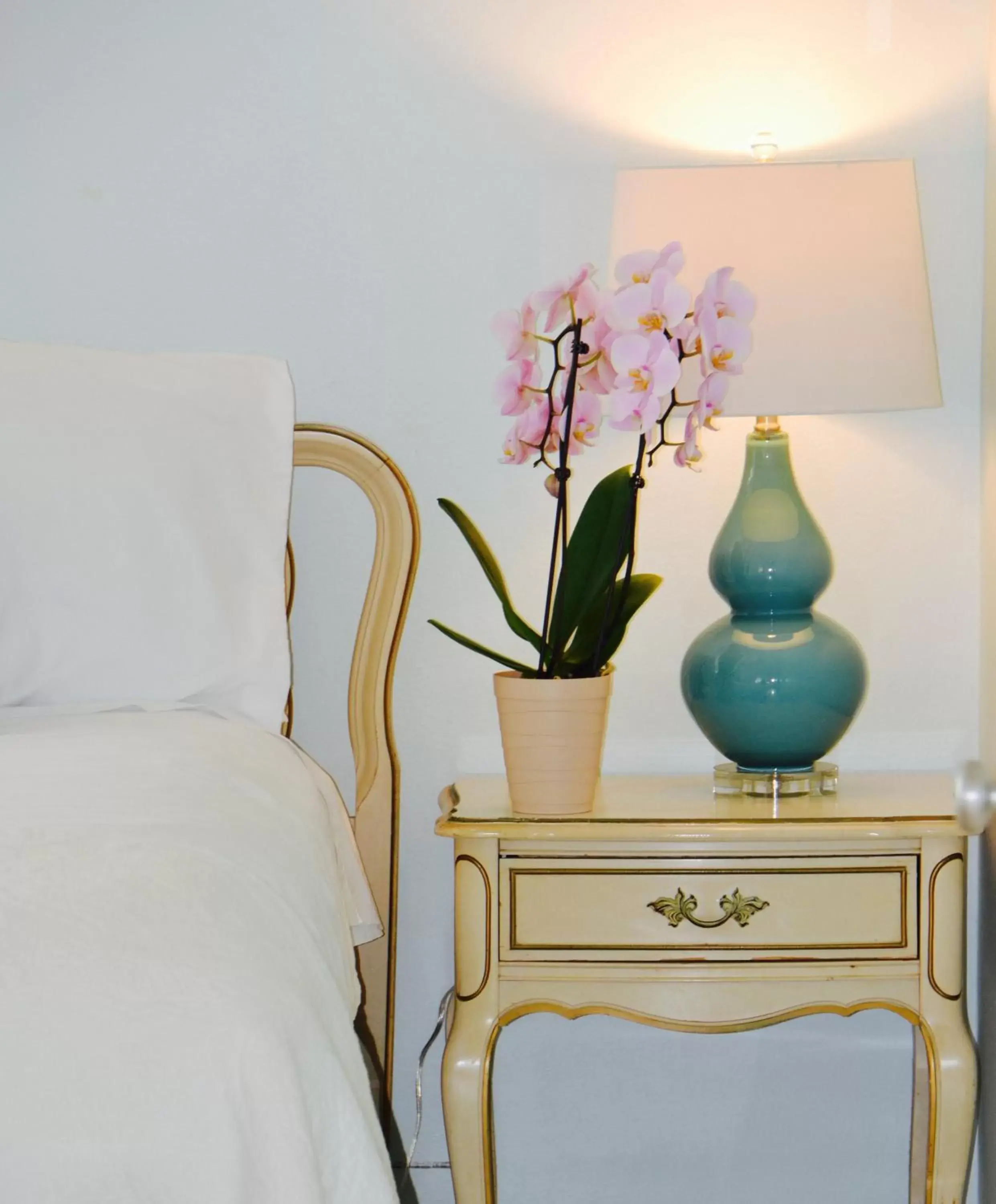 Apartment with Pool View - single occupancy in Sea Turtle Inn Apartment with Pool View - single occupancy in Sea Turtle Inn