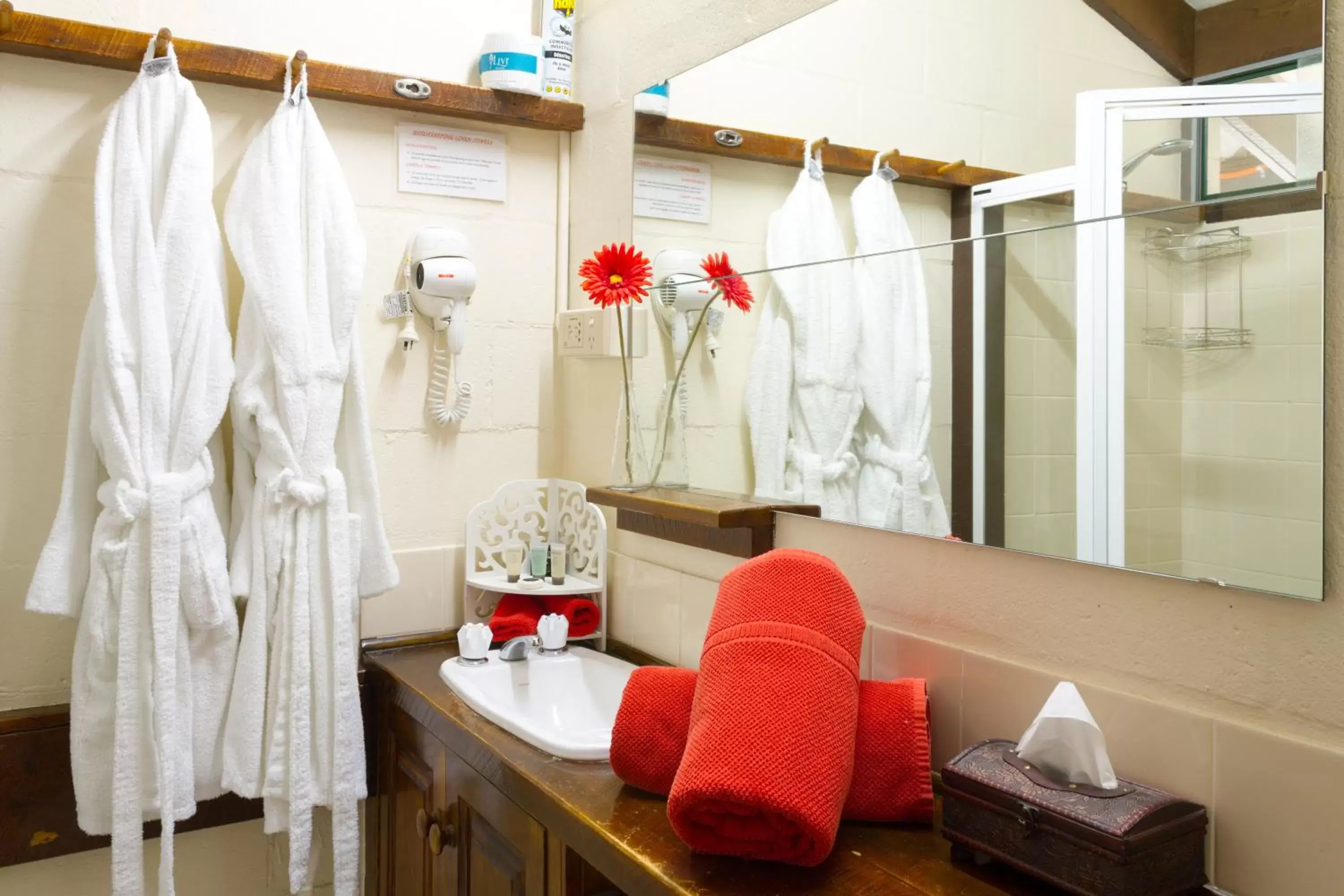 Deluxe Queen Room in Blackheath Motor Inn Deluxe Queen Room in Blackheath Motor Inn