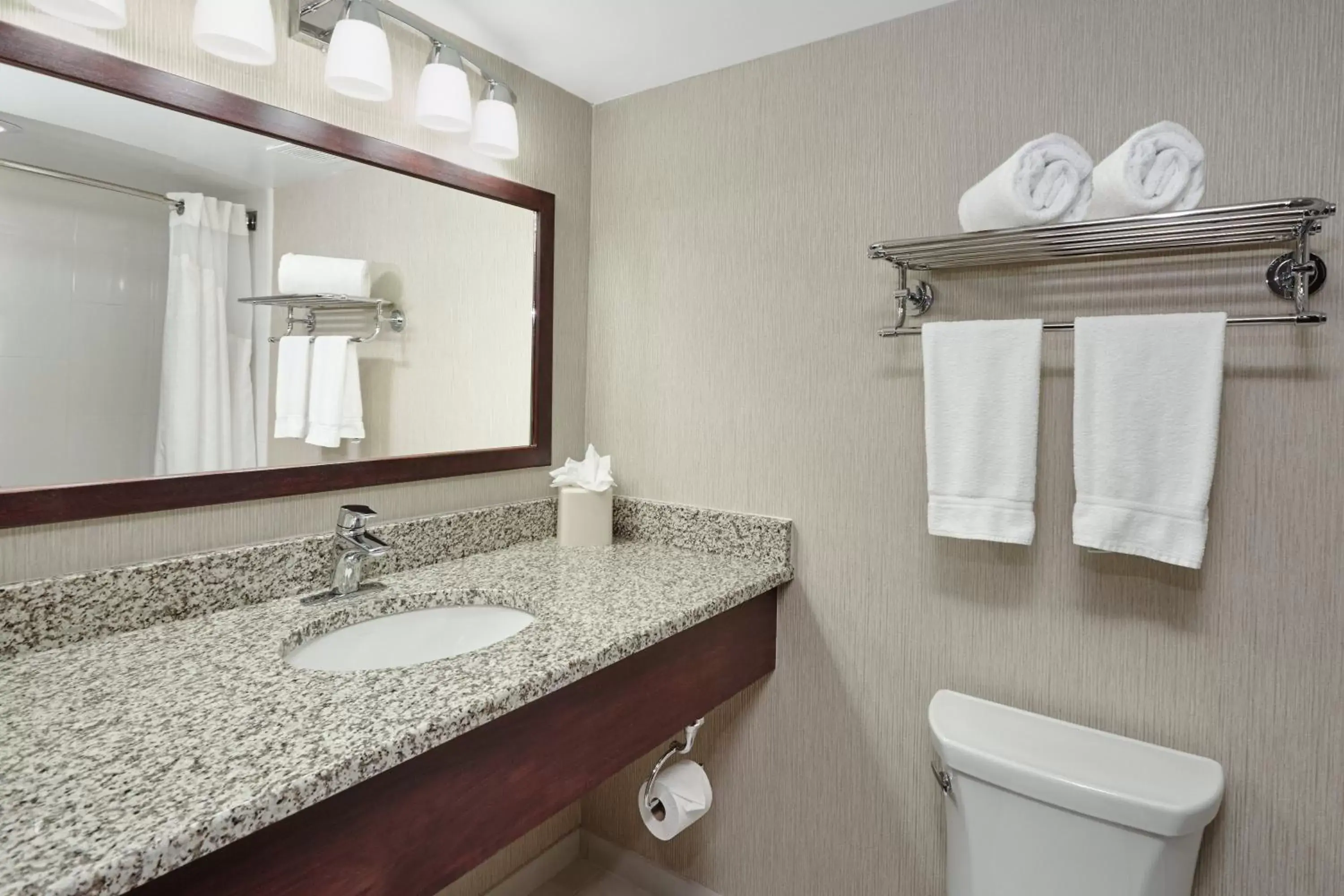 King Suite with Spa Bath - Non-Smoking in Holiday Inn & Suites Chicago-Carol Stream Wheaton, an IHG Hotel King Suite with Spa Bath - Non-Smoking in Holiday Inn & Suites Chicago-Carol Stream Wheaton, an IHG Hotel