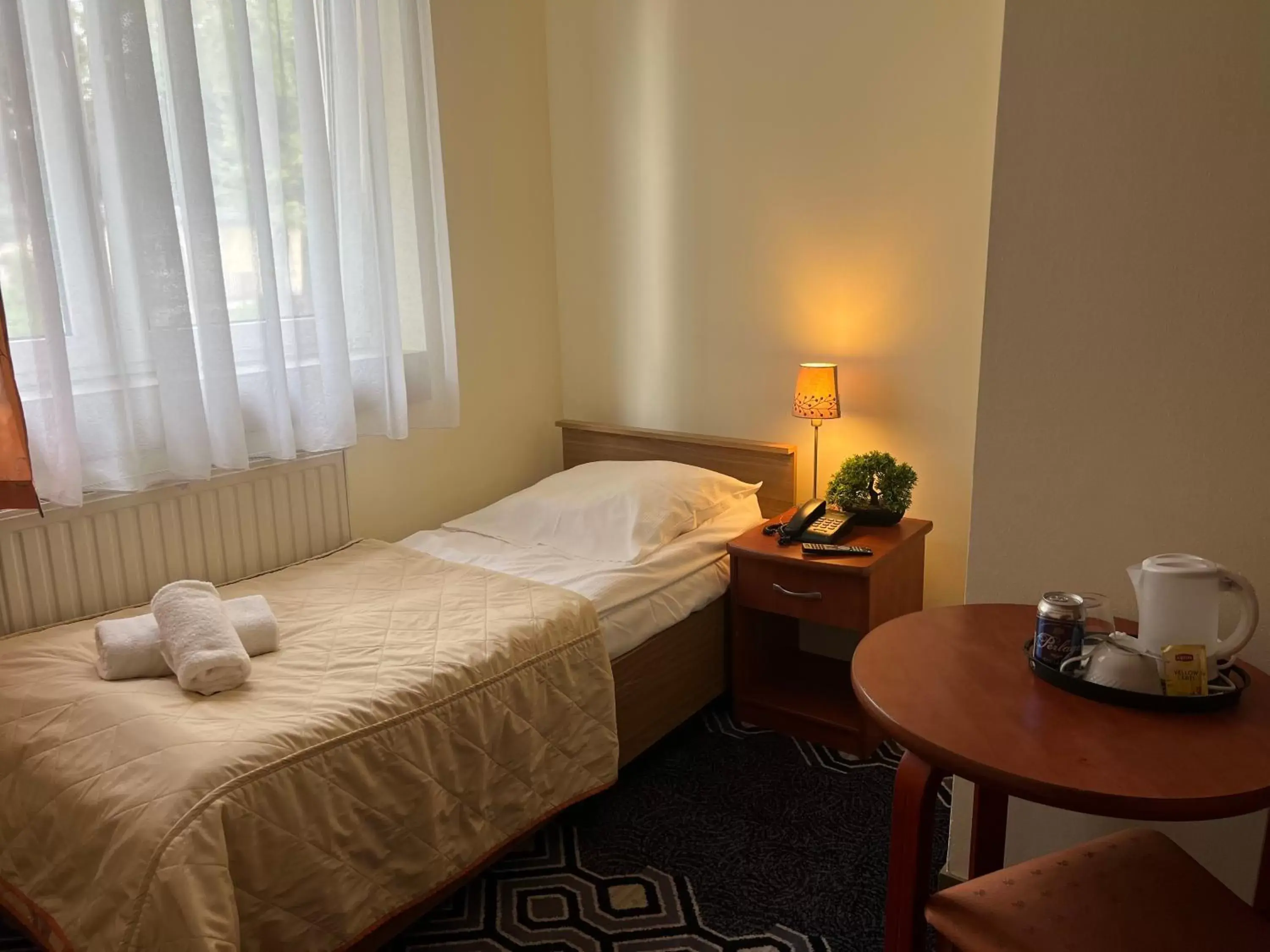 Single Room in Hotel Vistula Single Room in Hotel Vistula