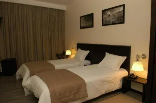 Double or Twin Room in Hotel Sao Pedro Double or Twin Room in Hotel Sao Pedro