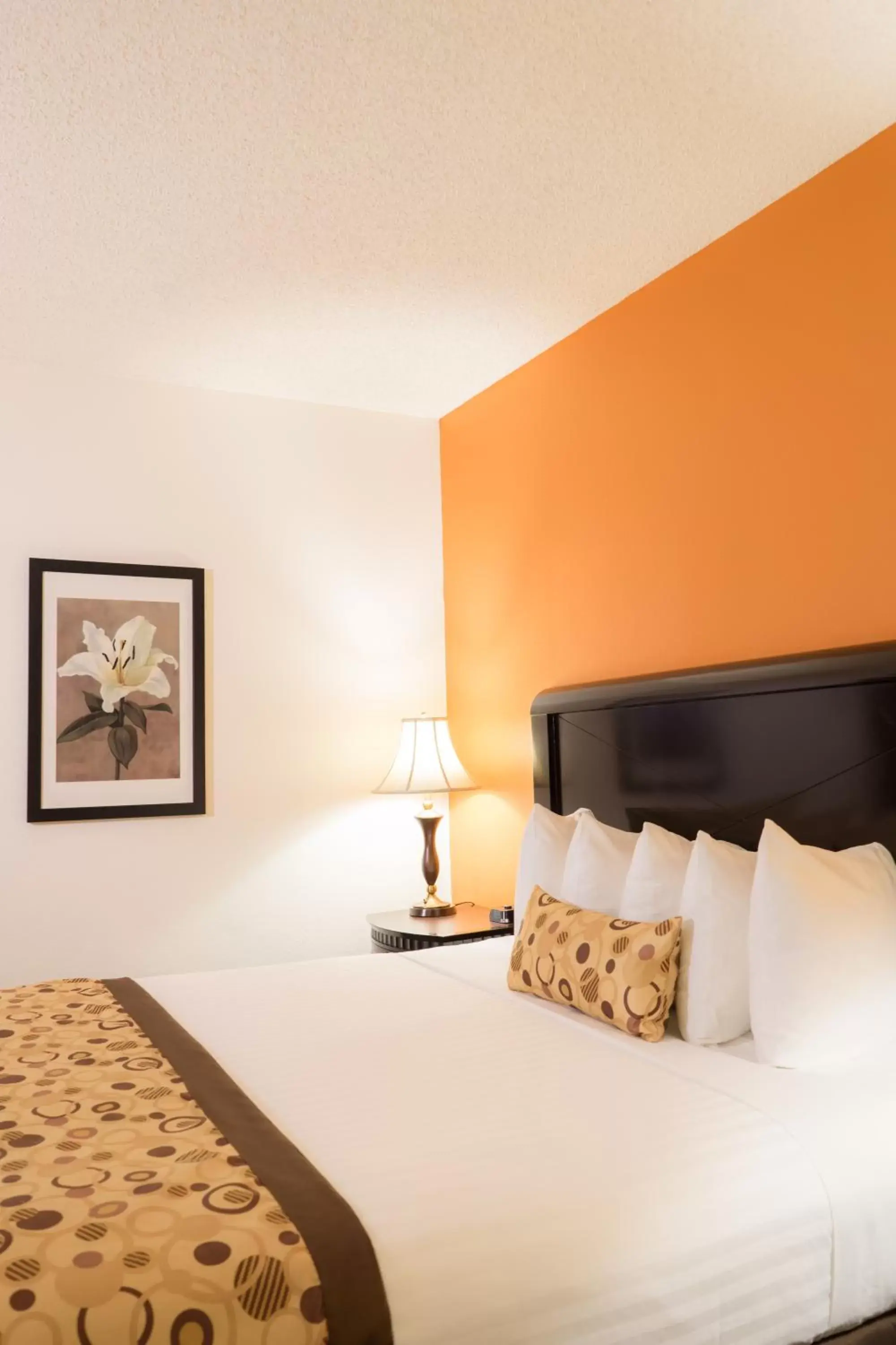 Standard King Room - single occupancy in Oakland Airport Executive Hotel Standard King Room - single occupancy in Oakland Airport Executive Hotel