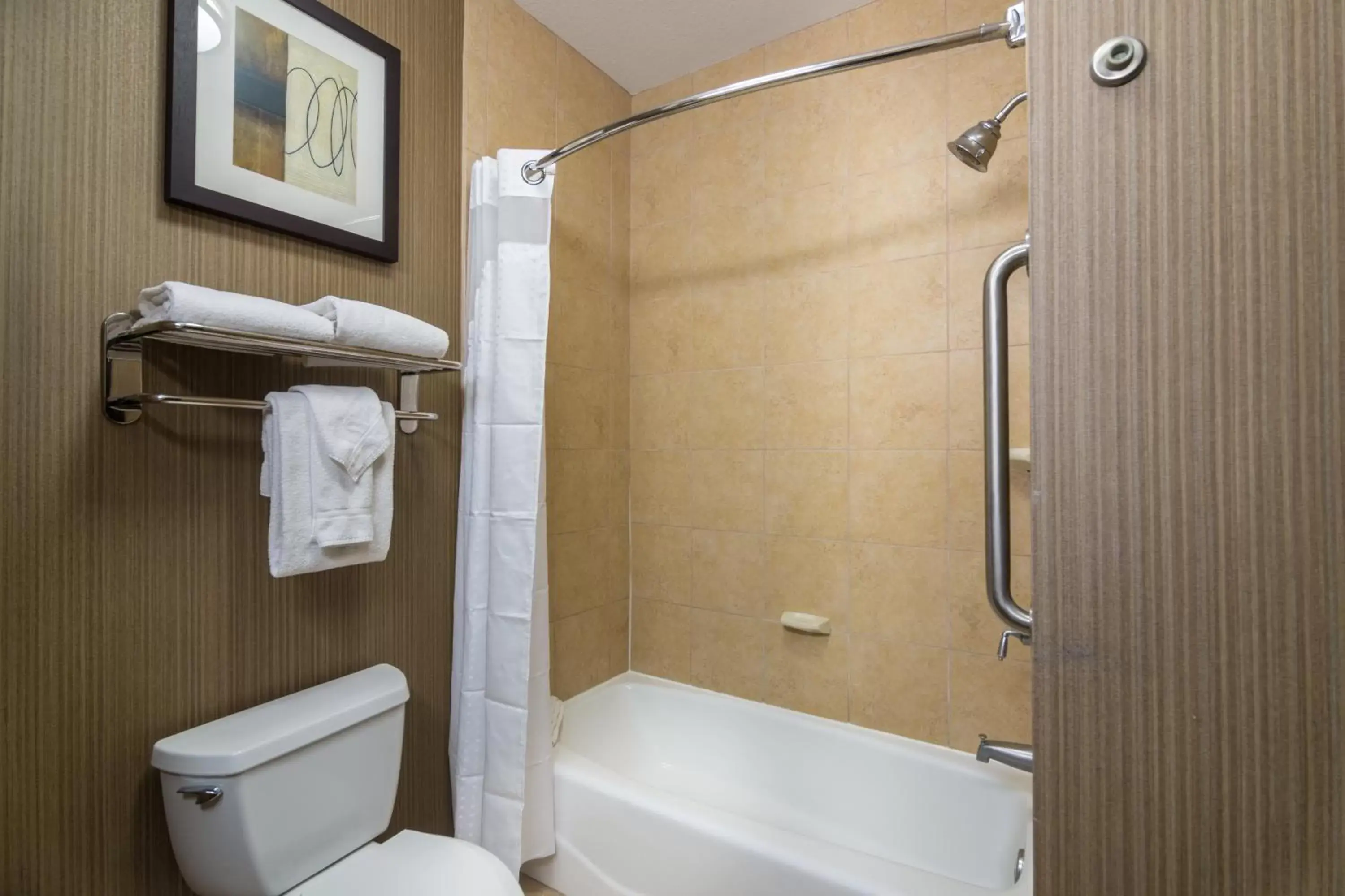 Standard King Room with Accessible Tub - Mobility Access in Holiday Inn Arlington Northeast by IHG Standard King Room with Accessible Tub - Mobility Access in Holiday Inn Arlington Northeast by IHG