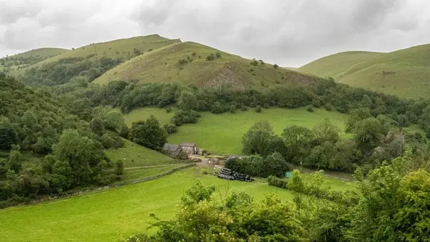 Black Lion Inn Black Lion Inn