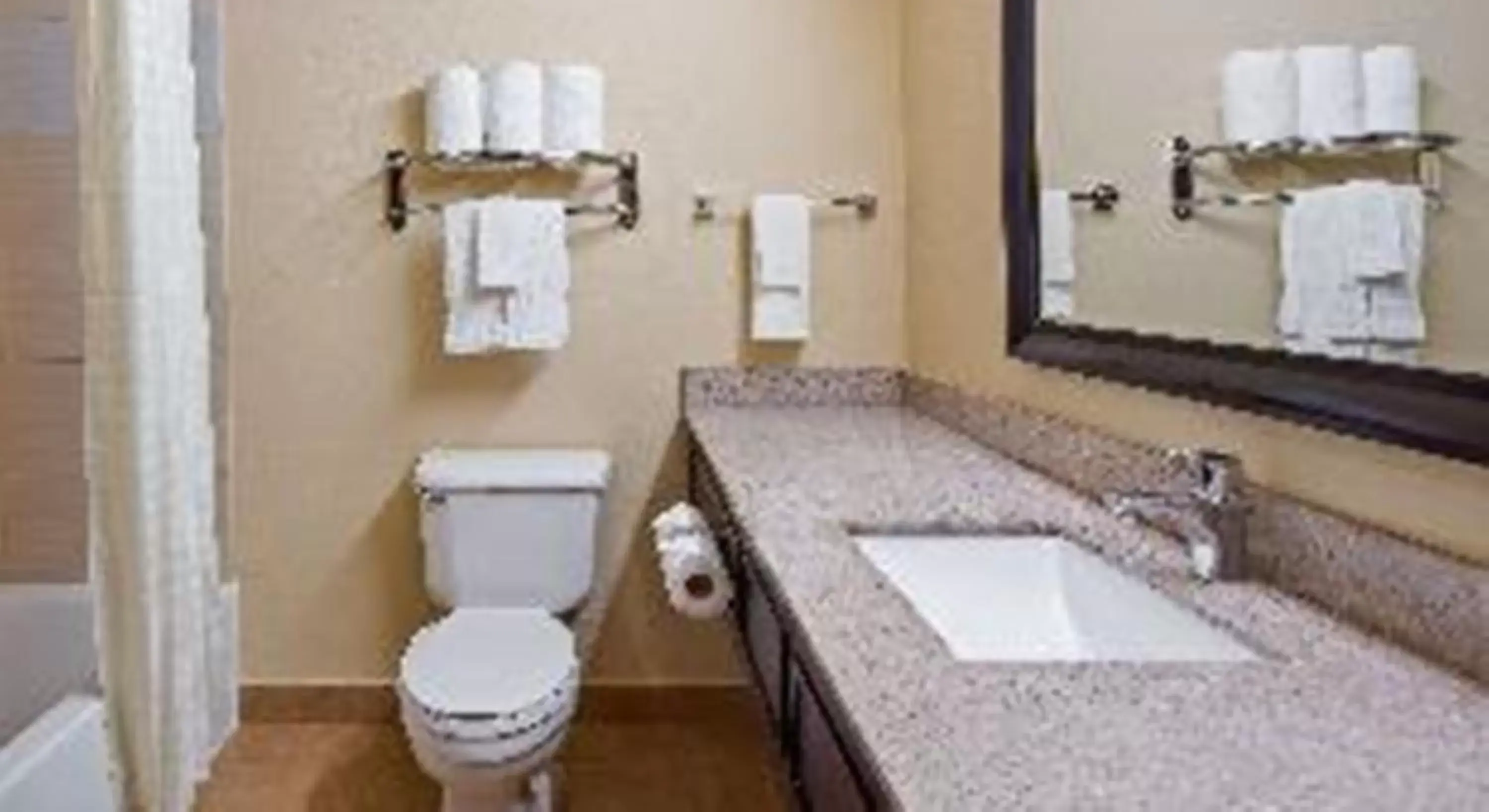 King Room with Bathtub - Mobility Accessible/Non-Smoking in Best Western Plus Addison/Dallas Hotel King Room with Bathtub - Mobility Accessible/Non-Smoking in Best Western Plus Addison/Dallas Hotel