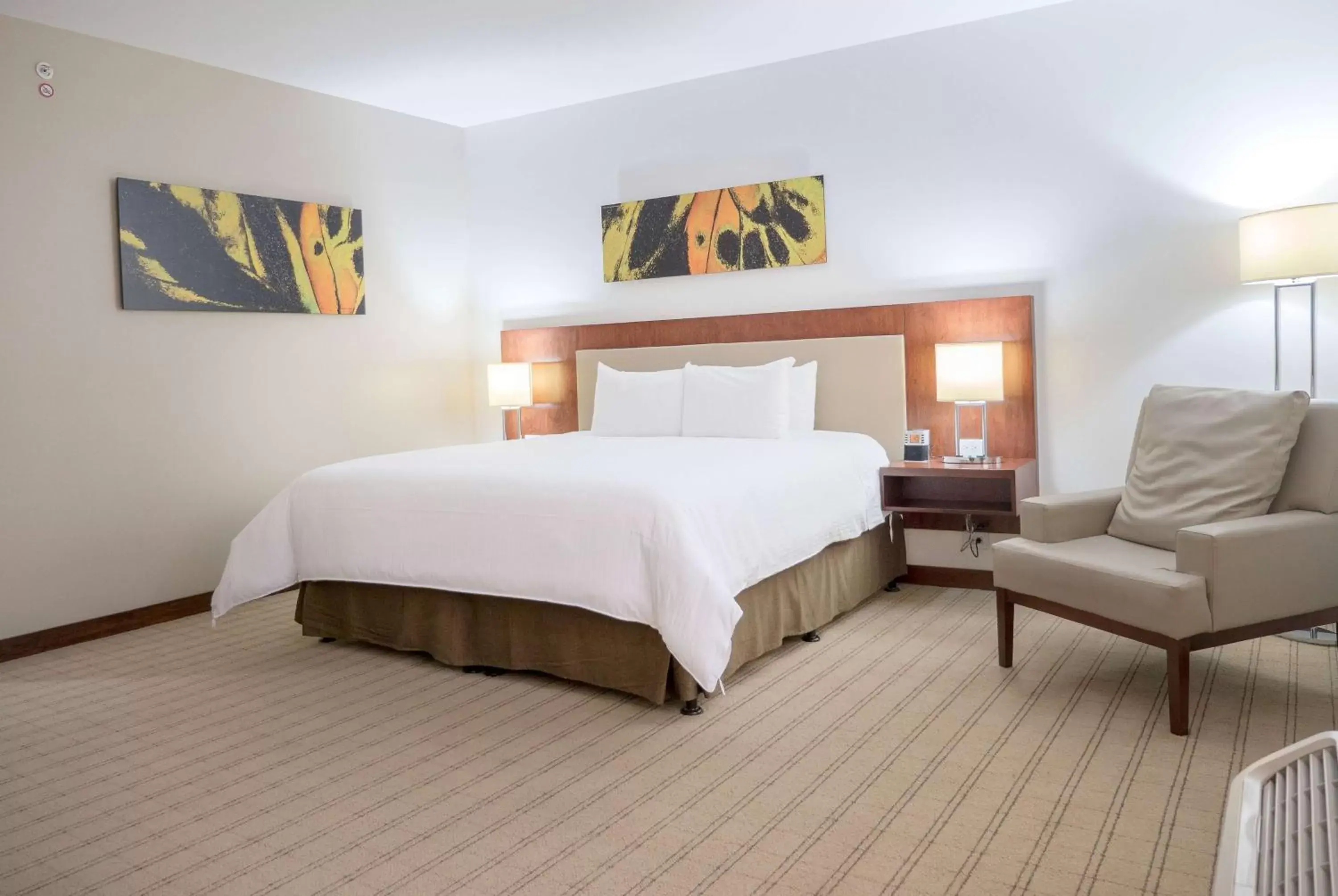 King Room - single occupancy - Non-Smoking in Wyndham Garden San Jose Escazu, Costa Rica King Room - single occupancy - Non-Smoking in Wyndham Garden San Jose Escazu, Costa Rica