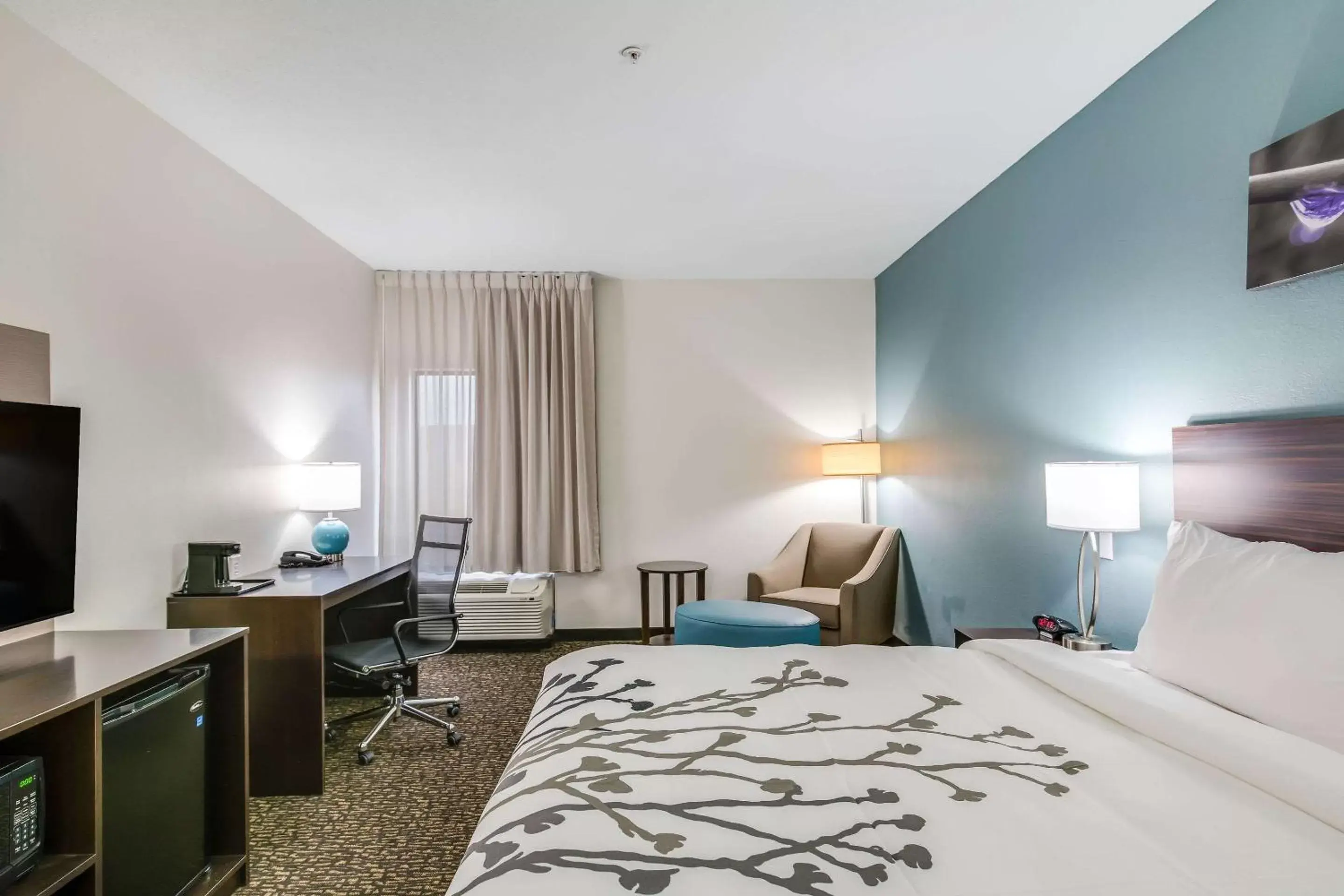 Standard King Room - Non Smoking in Sleep Inn Standard King Room - Non Smoking in Sleep Inn