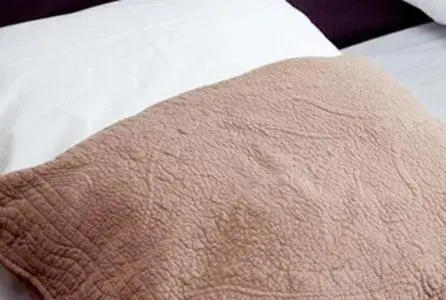 Single Room in Hôtel Belle Fontainebleau Single Room in Hôtel Belle Fontainebleau