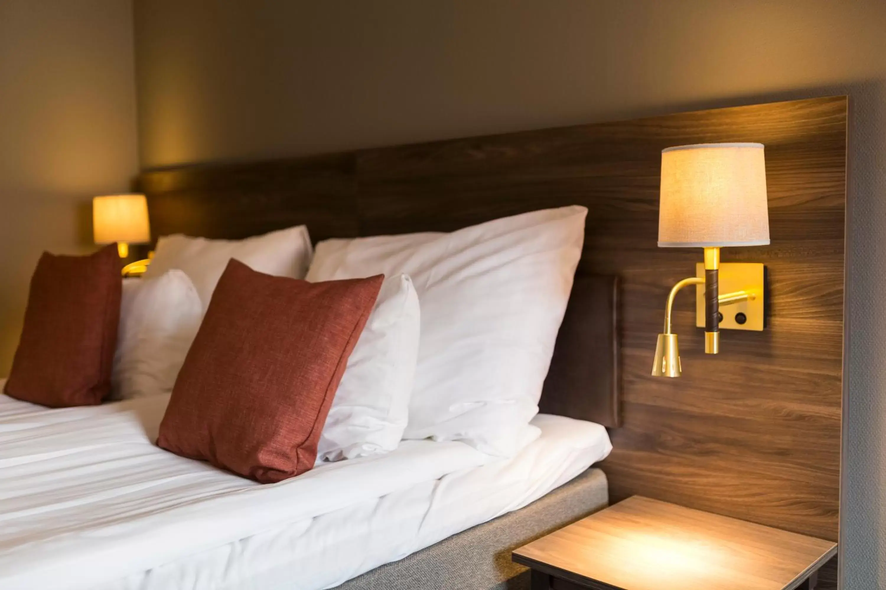 Deluxe Double Room in Clarion Collection Hotel Uman Deluxe Double Room in Clarion Collection Hotel Uman