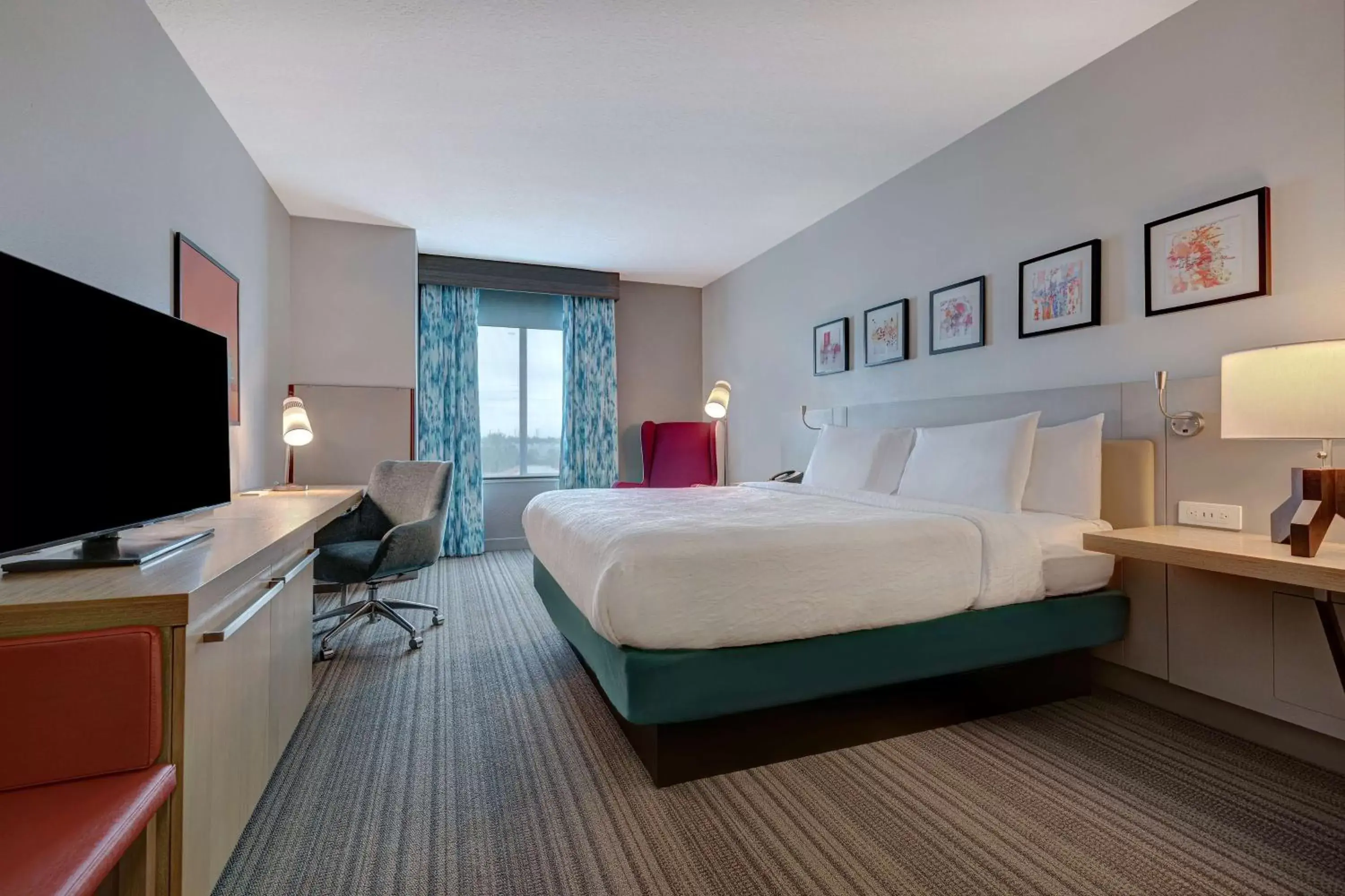 King Room in Hilton Garden Inn Tampa Northwest/Oldsmar King Room in Hilton Garden Inn Tampa Northwest/Oldsmar