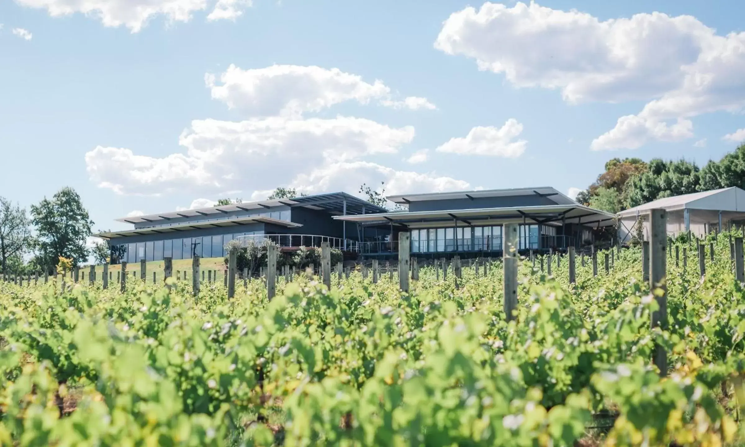 Balgownie Estate Yarra Valley Balgownie Estate Yarra Valley