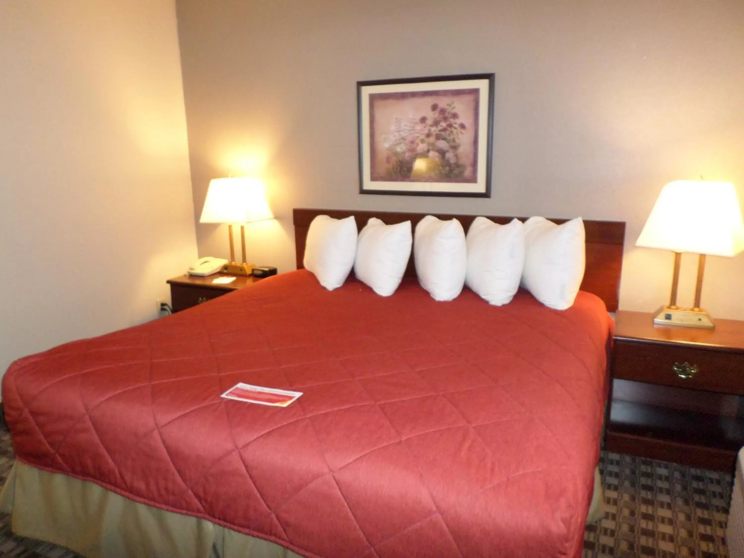 King Suite with Jacuzzi in Wingate by Wyndham Canton-Hall of Fame King Suite with Jacuzzi in Wingate by Wyndham Canton-Hall of Fame