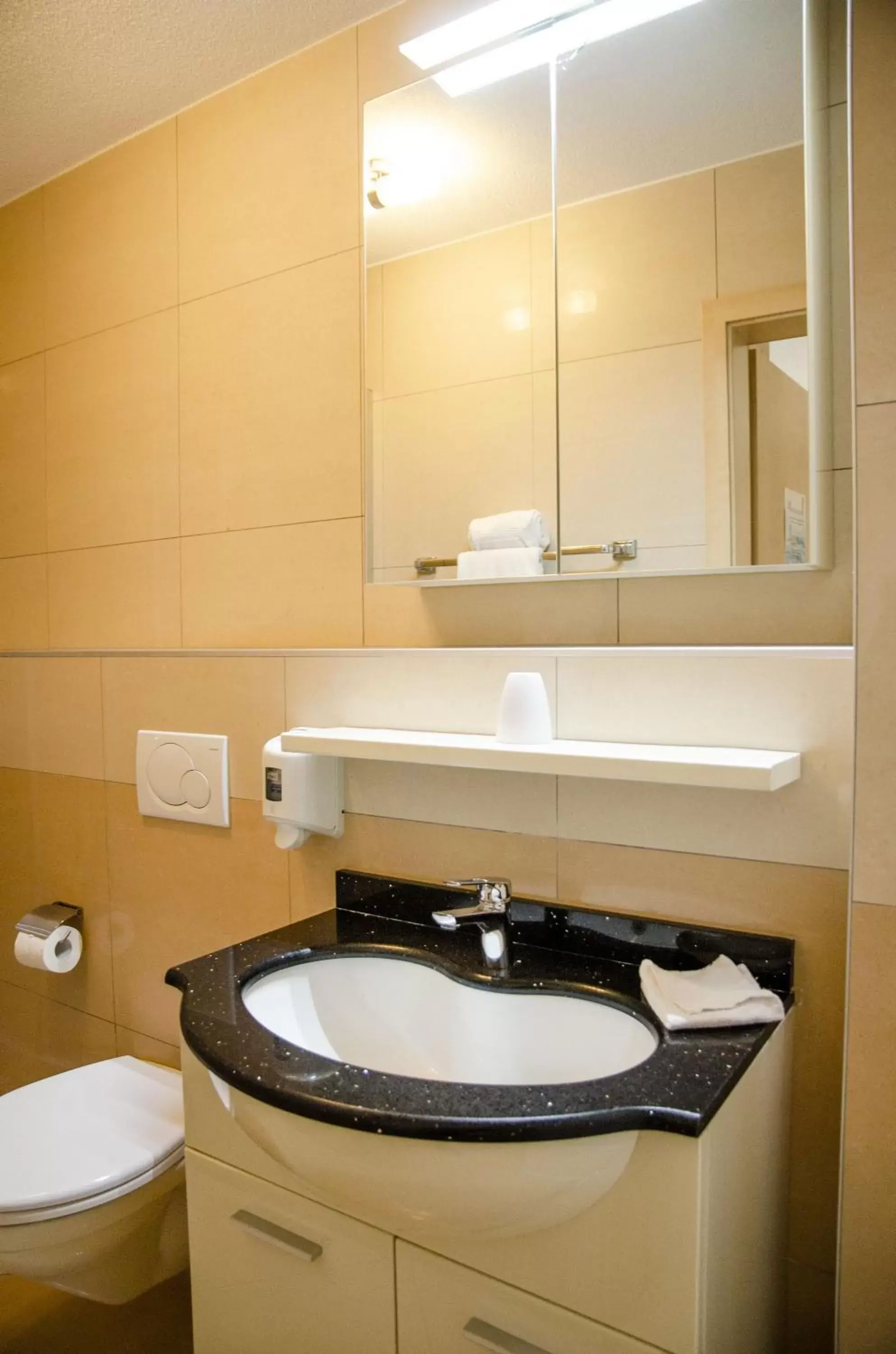 Single Room in Hotel du Faucon Single Room in Hotel du Faucon