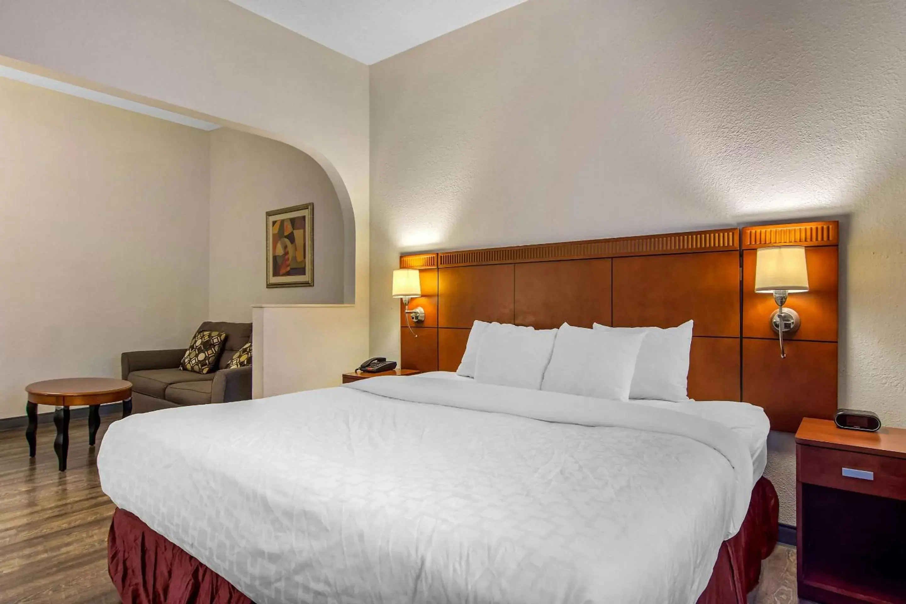 King Suite - Disability Access/Non-Smoking in Clarion Suites Duluth I-85 King Suite - Disability Access/Non-Smoking in Clarion Suites Duluth I-85