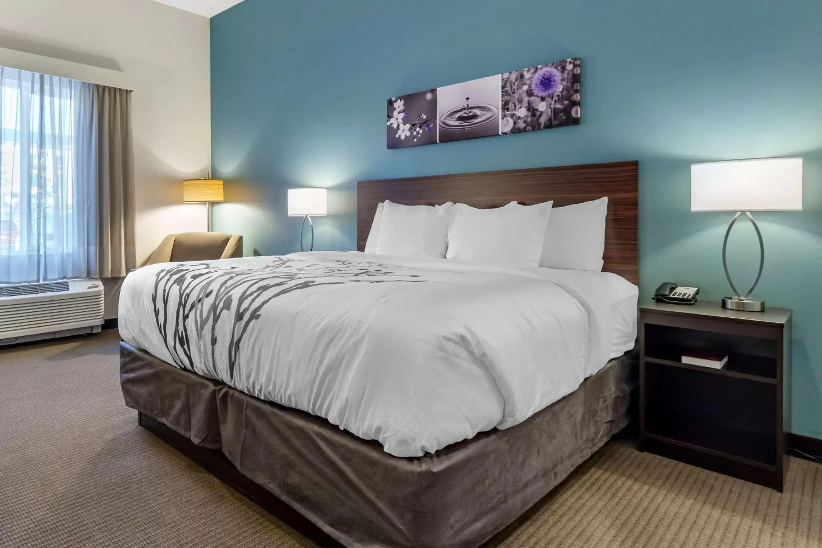King Room - Accessible/Non-Smoking in Sleep Inn & Suites Wenatchee-Leavenworth King Room - Accessible/Non-Smoking in Sleep Inn & Suites Wenatchee-Leavenworth