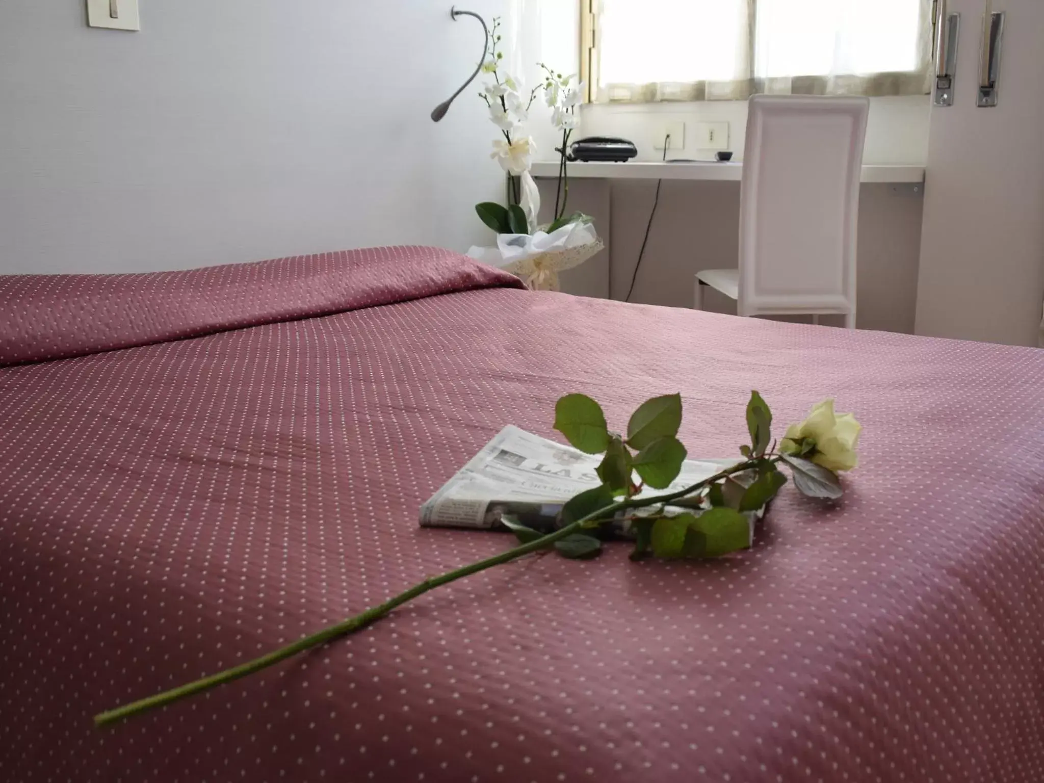 Double or Twin Room with Sea View in Hotel Bellavista Double or Twin Room with Sea View in Hotel Bellavista