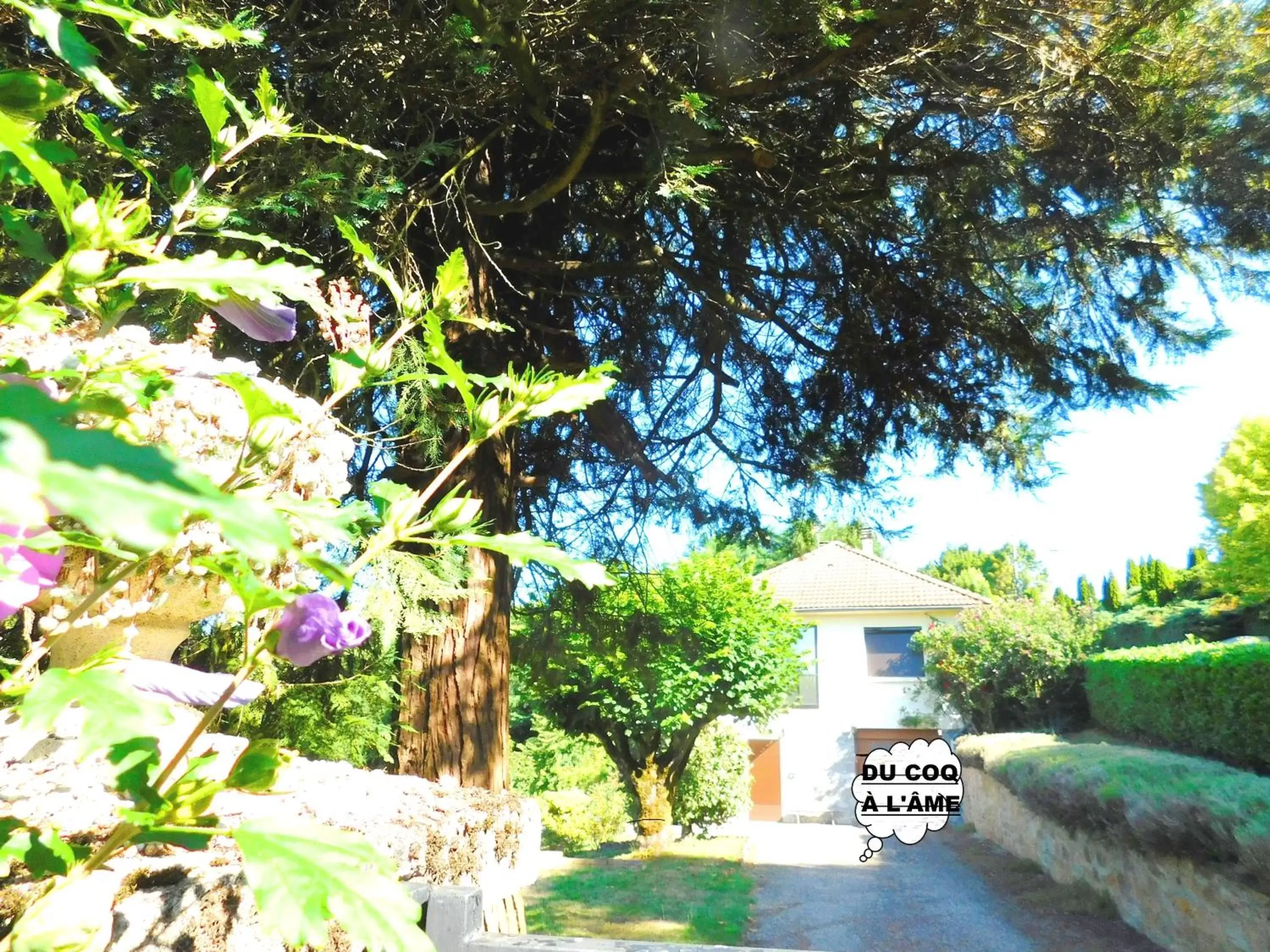 Du coq à l'âme Du coq à l'âme