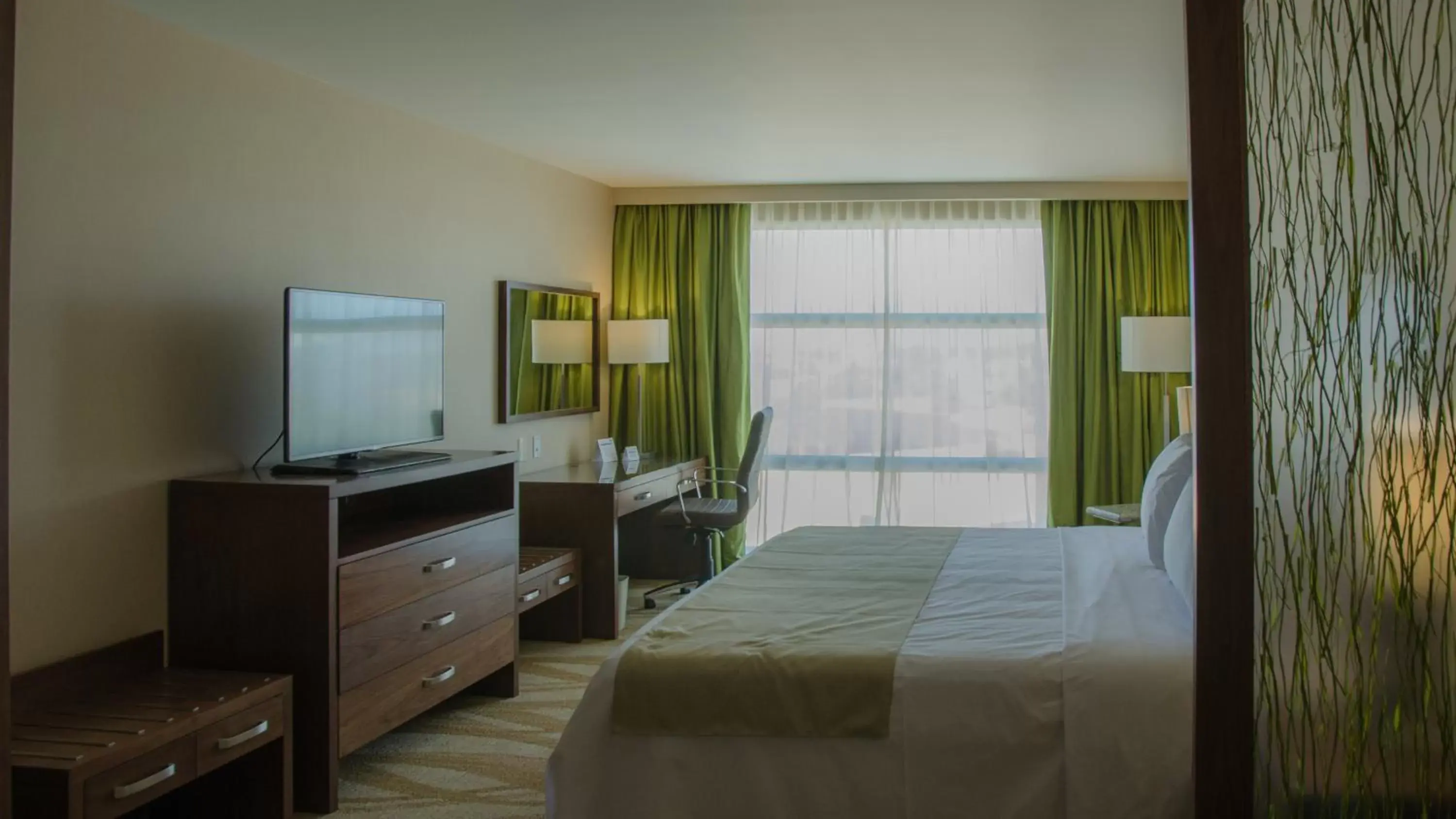 King Suite in Holiday Inn Express and Suites Celaya, an IHG Hotel King Suite in Holiday Inn Express and Suites Celaya, an IHG Hotel