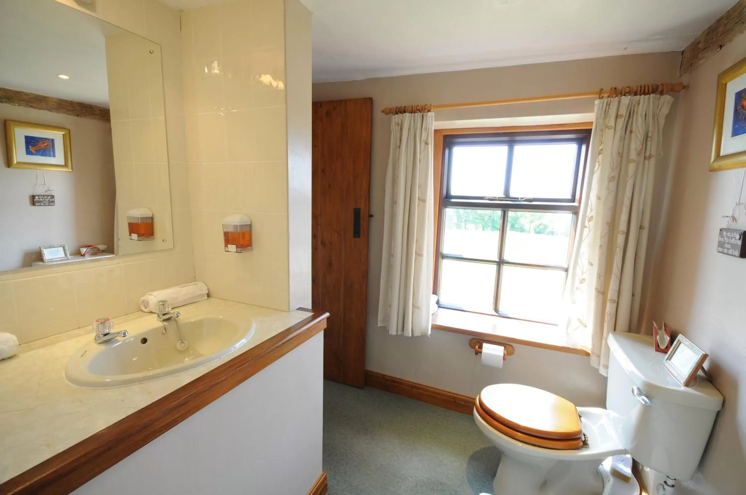 King Room with Garden View - single occupancy in Green Bank Farmhouse King Room with Garden View - single occupancy in Green Bank Farmhouse