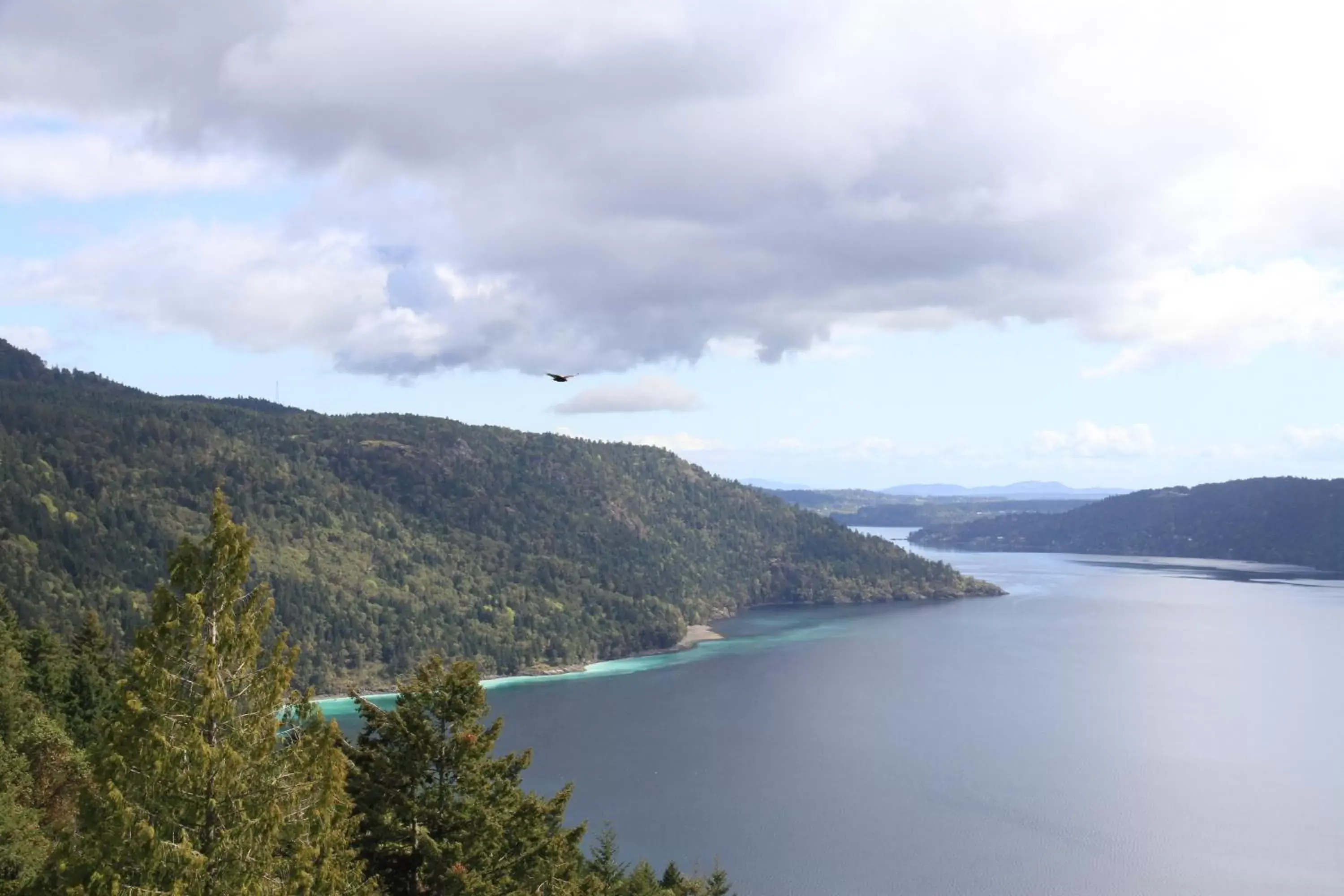 King Studio in Moon Water Lodge King Studio in Moon Water Lodge