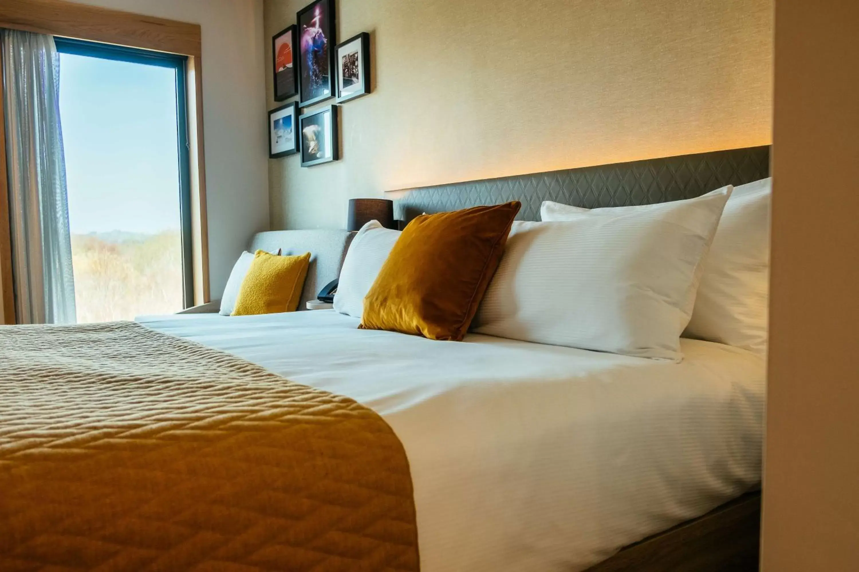 Deluxe King Room in Hilton Garden Inn Snowdonia Deluxe King Room in Hilton Garden Inn Snowdonia