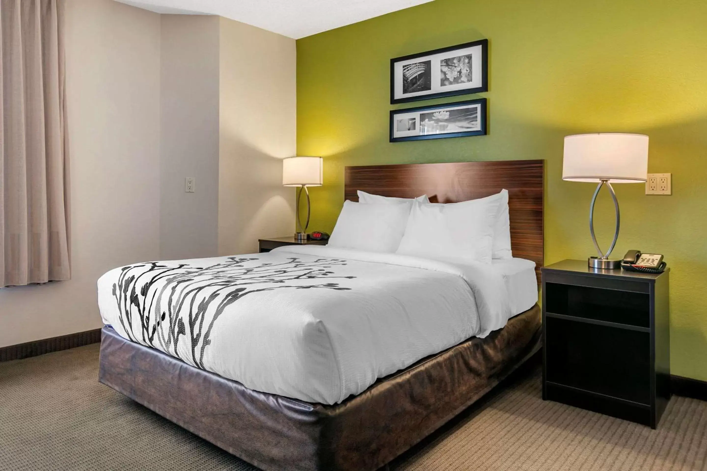 Queen Room - Disability Access/Non-Smoking in Sleep Inn Allentown-Fogelsville Queen Room - Disability Access/Non-Smoking in Sleep Inn Allentown-Fogelsville