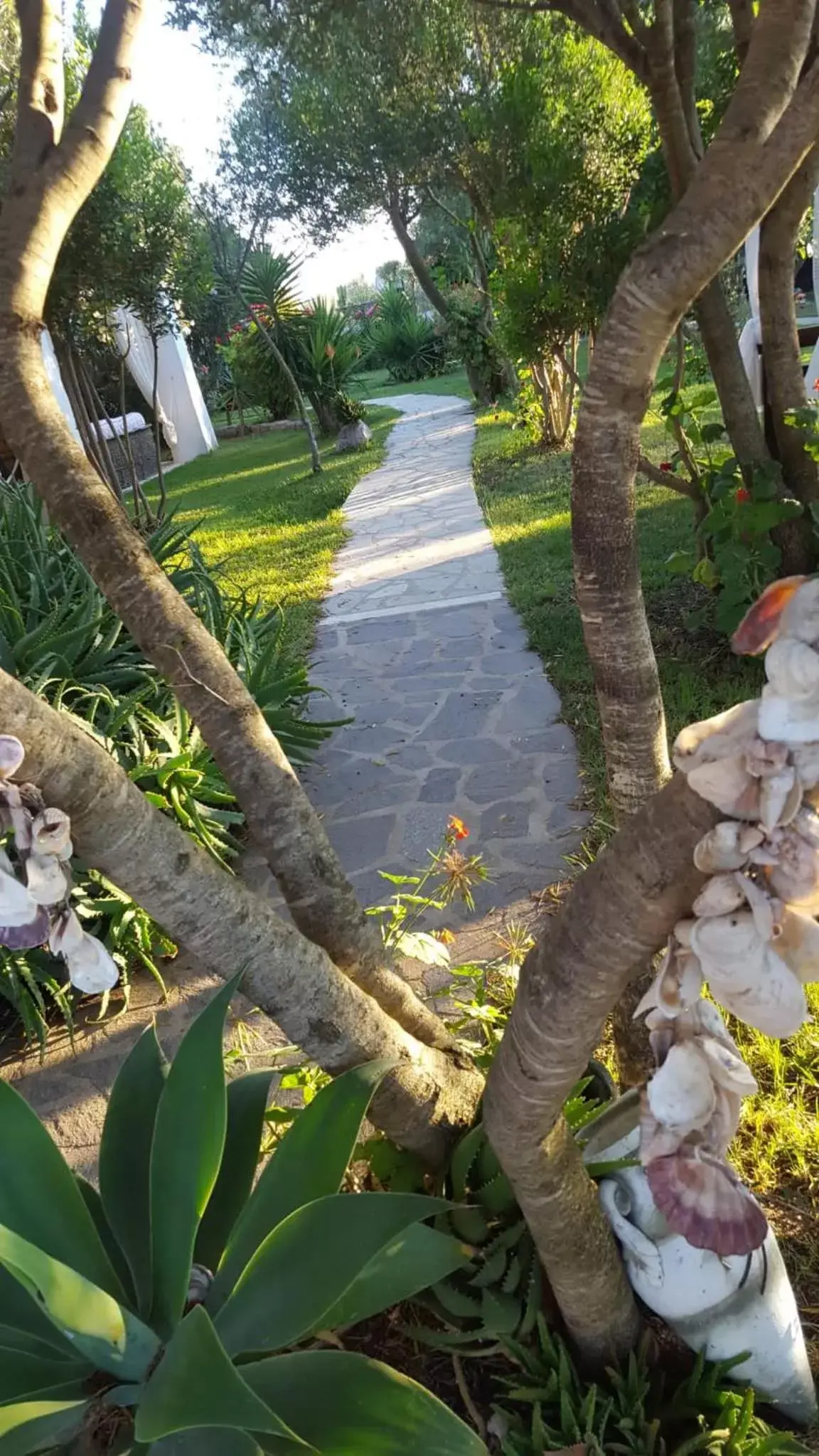 Deluxe Double or Twin Room with Garden View in GIARDINO DEL SOLE Deluxe Double or Twin Room with Garden View in GIARDINO DEL SOLE