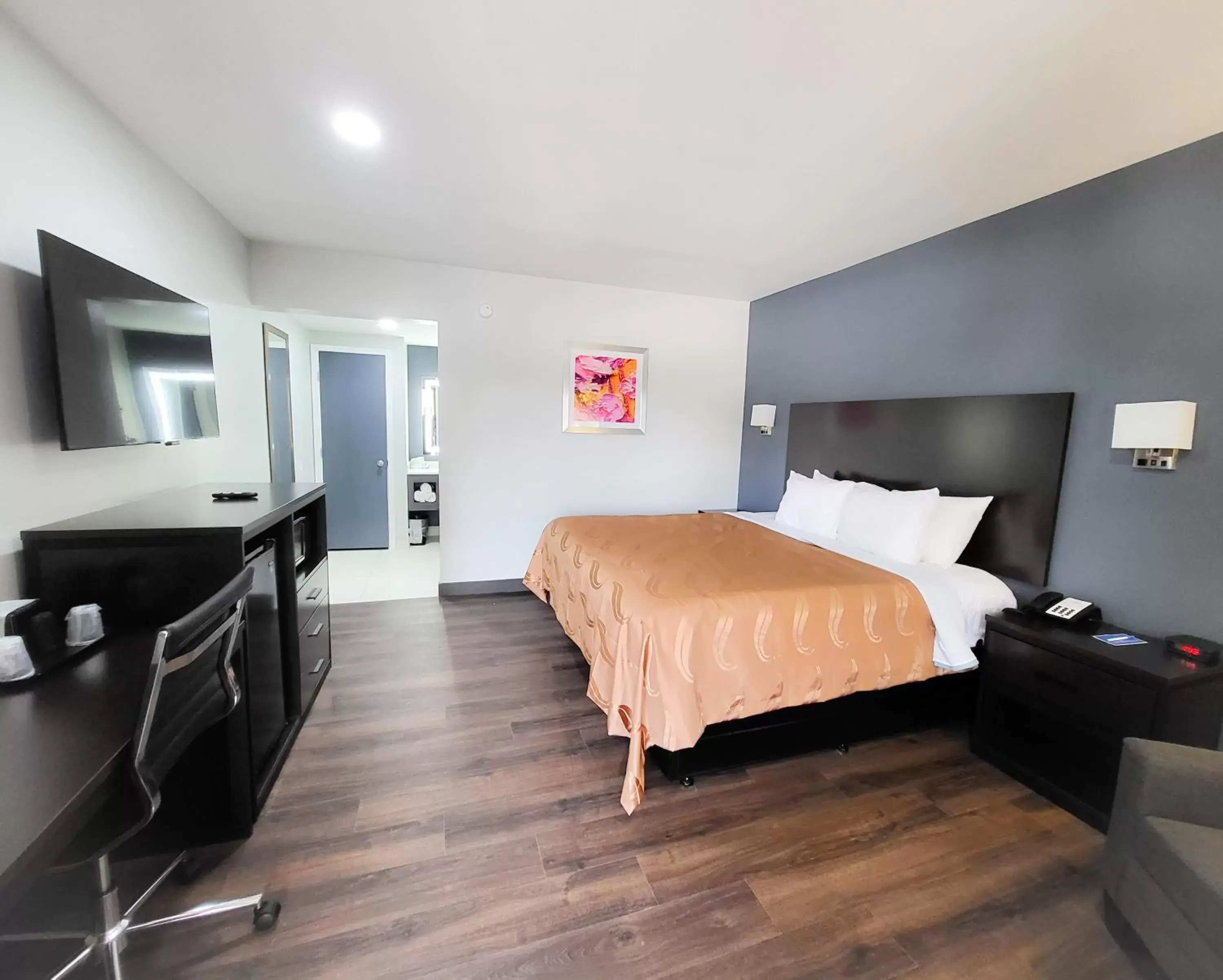 King Room - Accessible/Non-Smoking in Rodeway Inn Norfolk King Room - Accessible/Non-Smoking in Rodeway Inn Norfolk