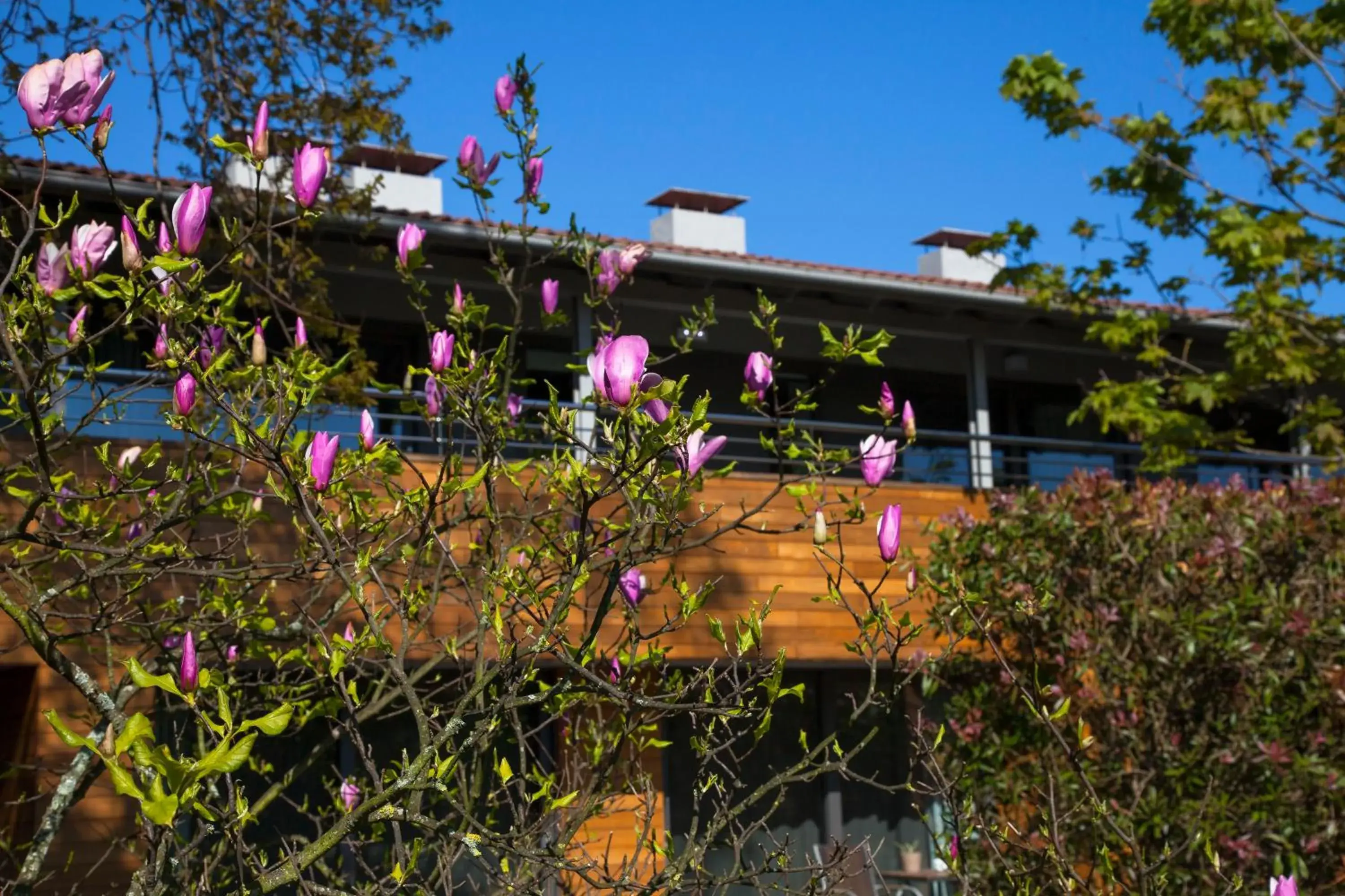 Apartamentos Casona de la Paca Apartamentos Casona de la Paca