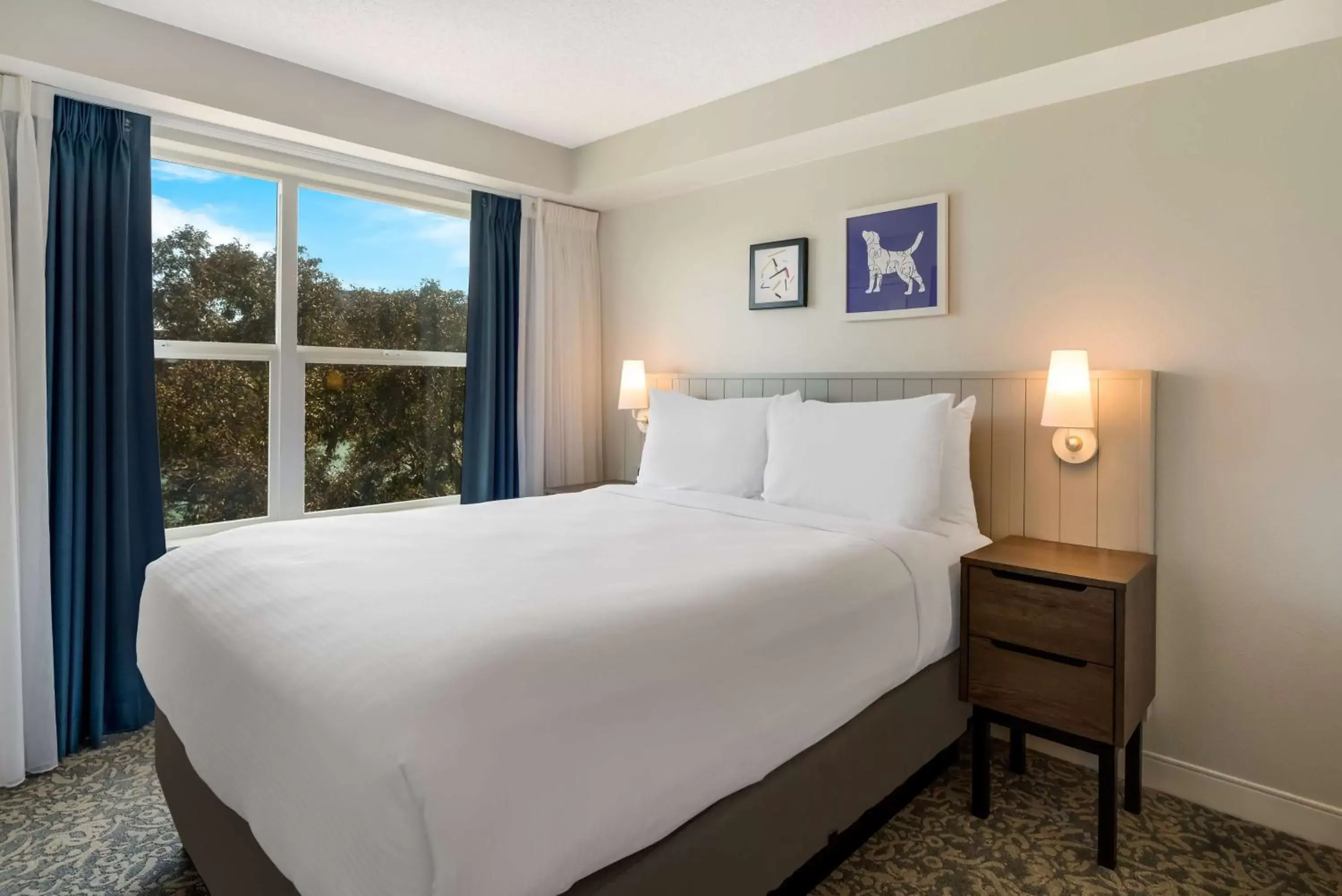Mobility Accessible One Bedroom Suite Queen Roll-In Shower in Sonesta ES Suites San Francisco Airport Oyster Point Waterfront Mobility Accessible One Bedroom Suite Queen Roll-In Shower in Sonesta ES Suites San Francisco Airport Oyster Point Waterfront