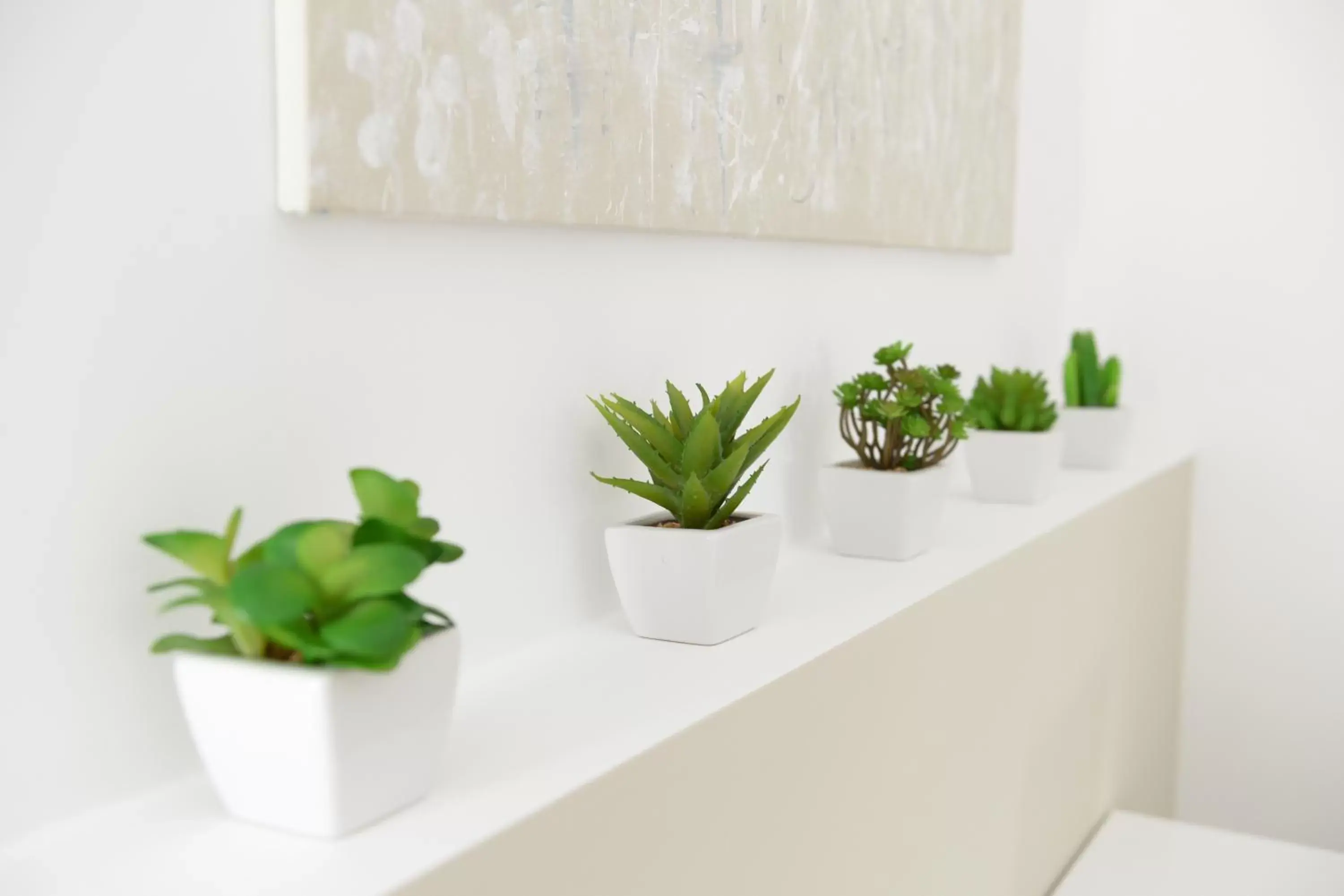 Queen Room - single occupancy in Domus Dams B&B Queen Room - single occupancy in Domus Dams B&B