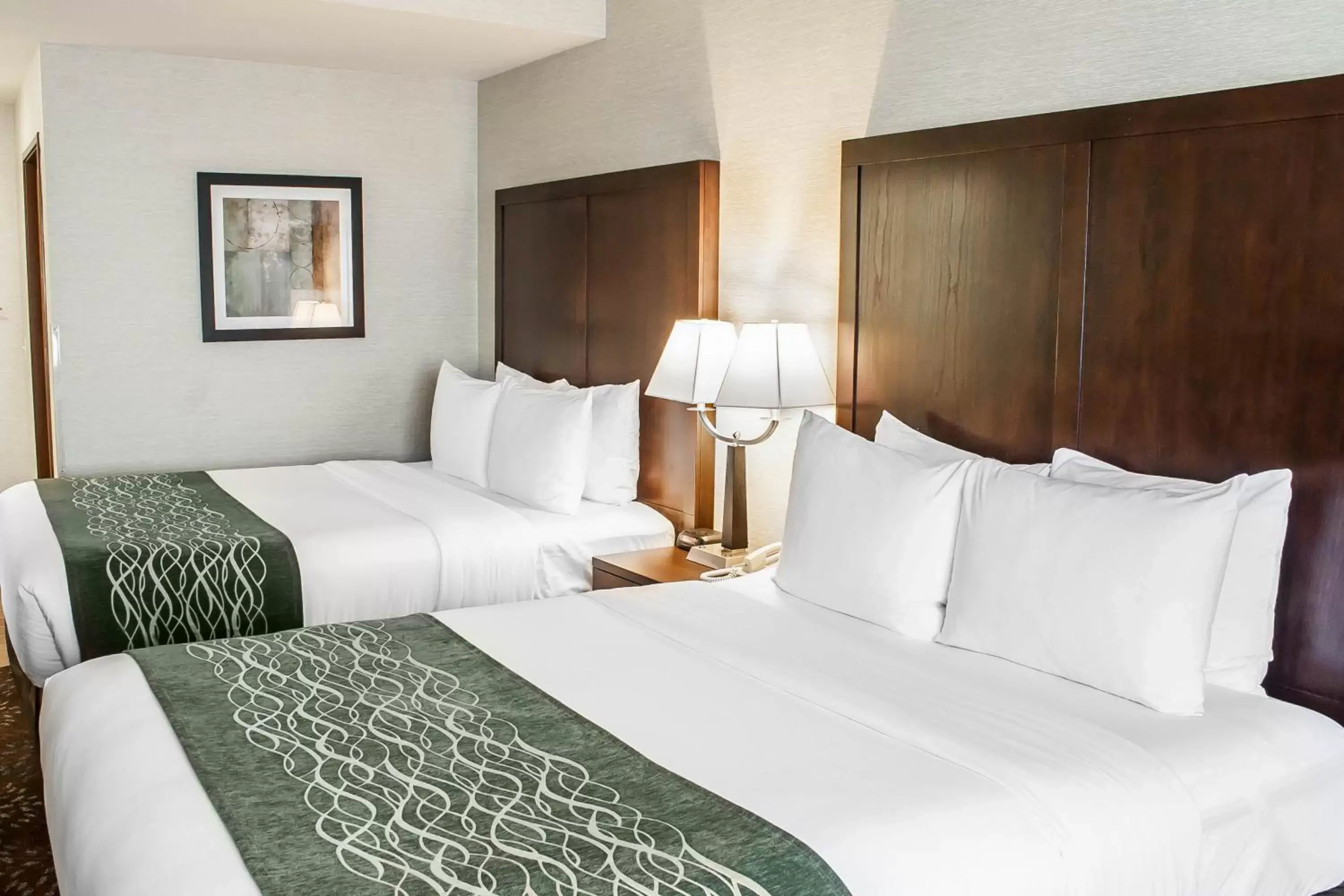 Queen Room with Two Queen Beds - Non-Smoking in Comfort Inn Federal Way - Seattle Queen Room with Two Queen Beds - Non-Smoking in Comfort Inn Federal Way - Seattle