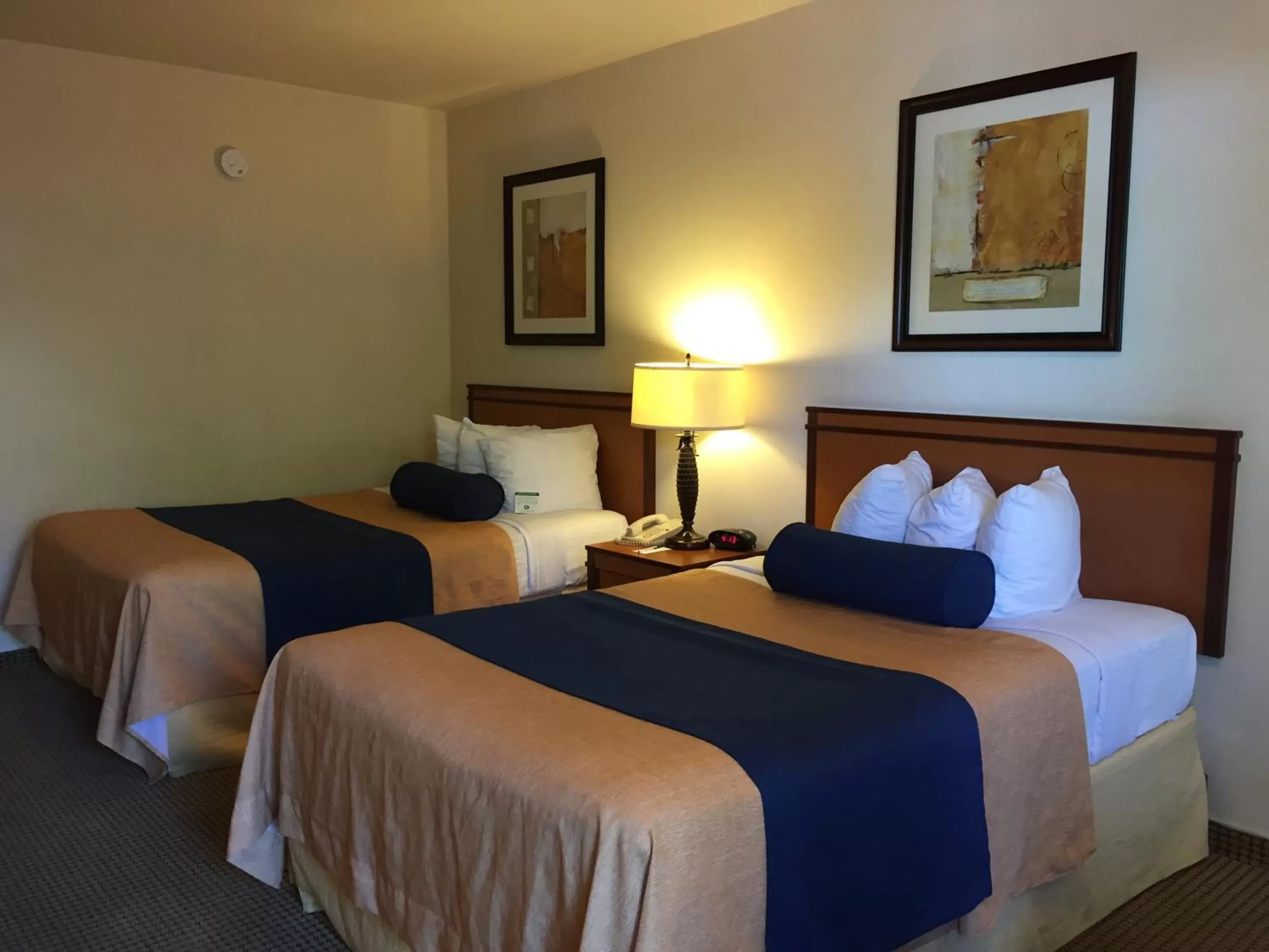 Standard Double Room with Two Double Beds in Mikado Hotel Standard Double Room with Two Double Beds in Mikado Hotel