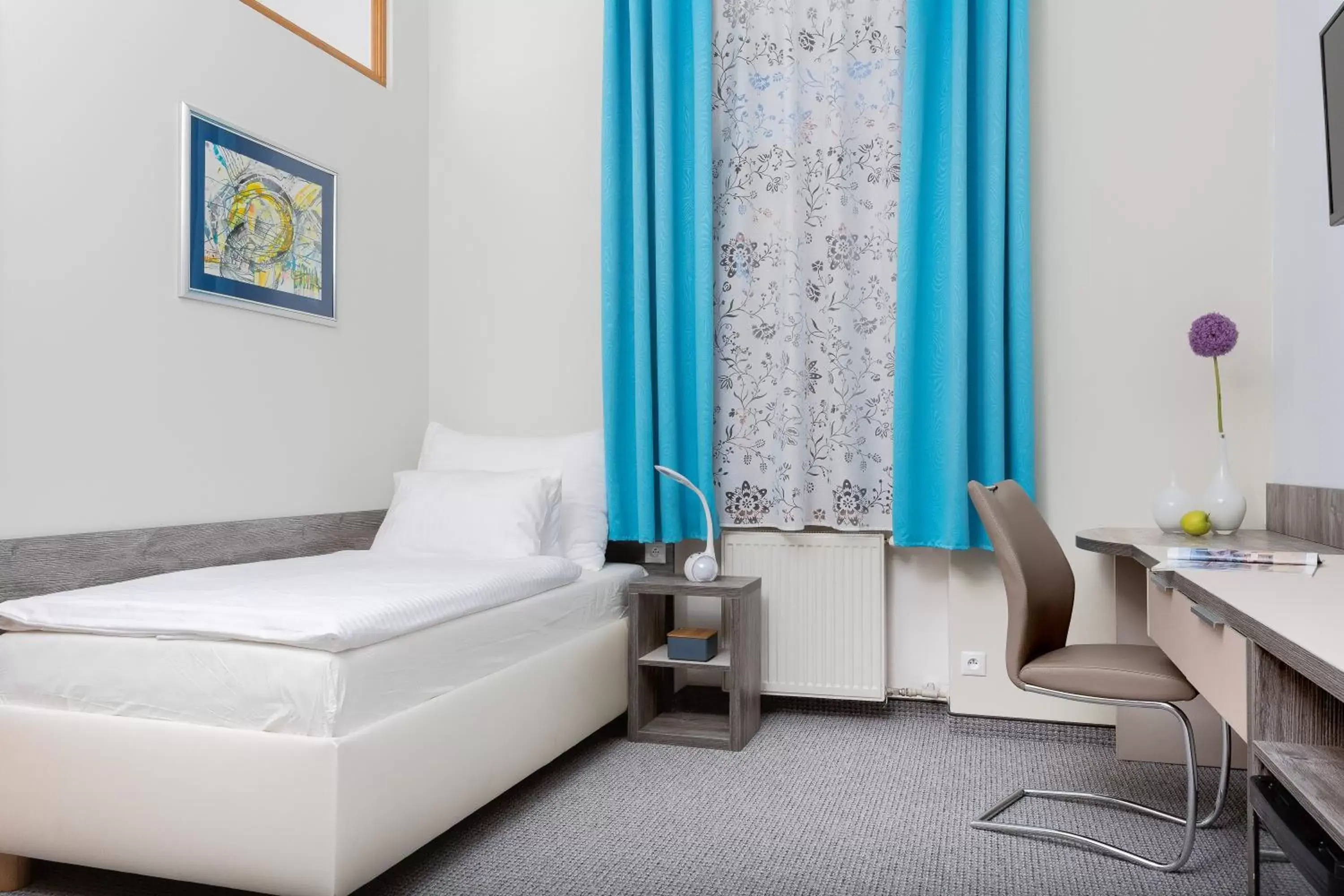 Single Room - single occupancy in Penzión Hradbová Old Town Residence & SPA Single Room - single occupancy in Penzión Hradbová Old Town Residence & SPA