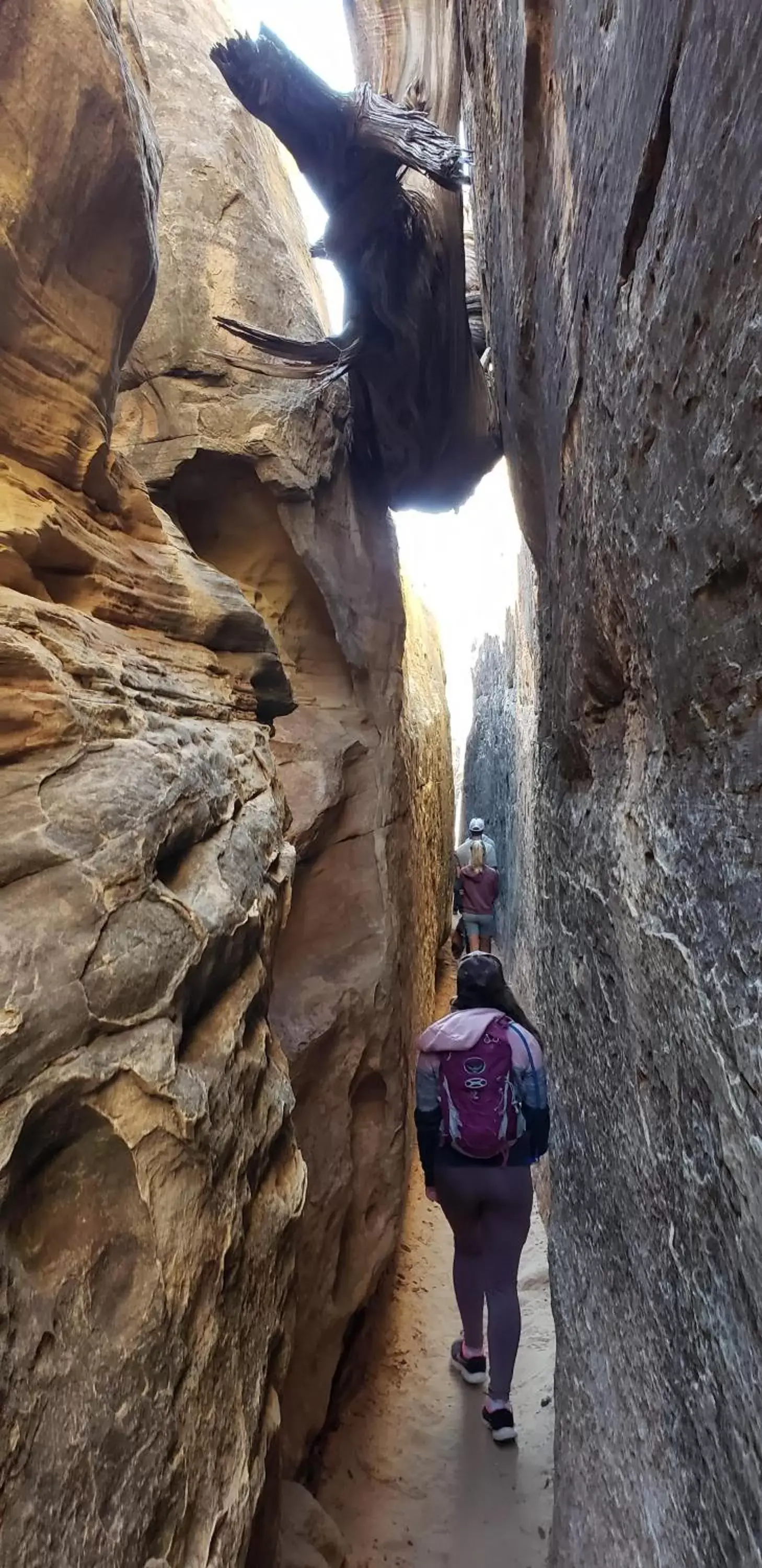 Cedar Canyon Condo #2 in Cedar Canyon Condos Cedar Canyon Condo #2 in Cedar Canyon Condos