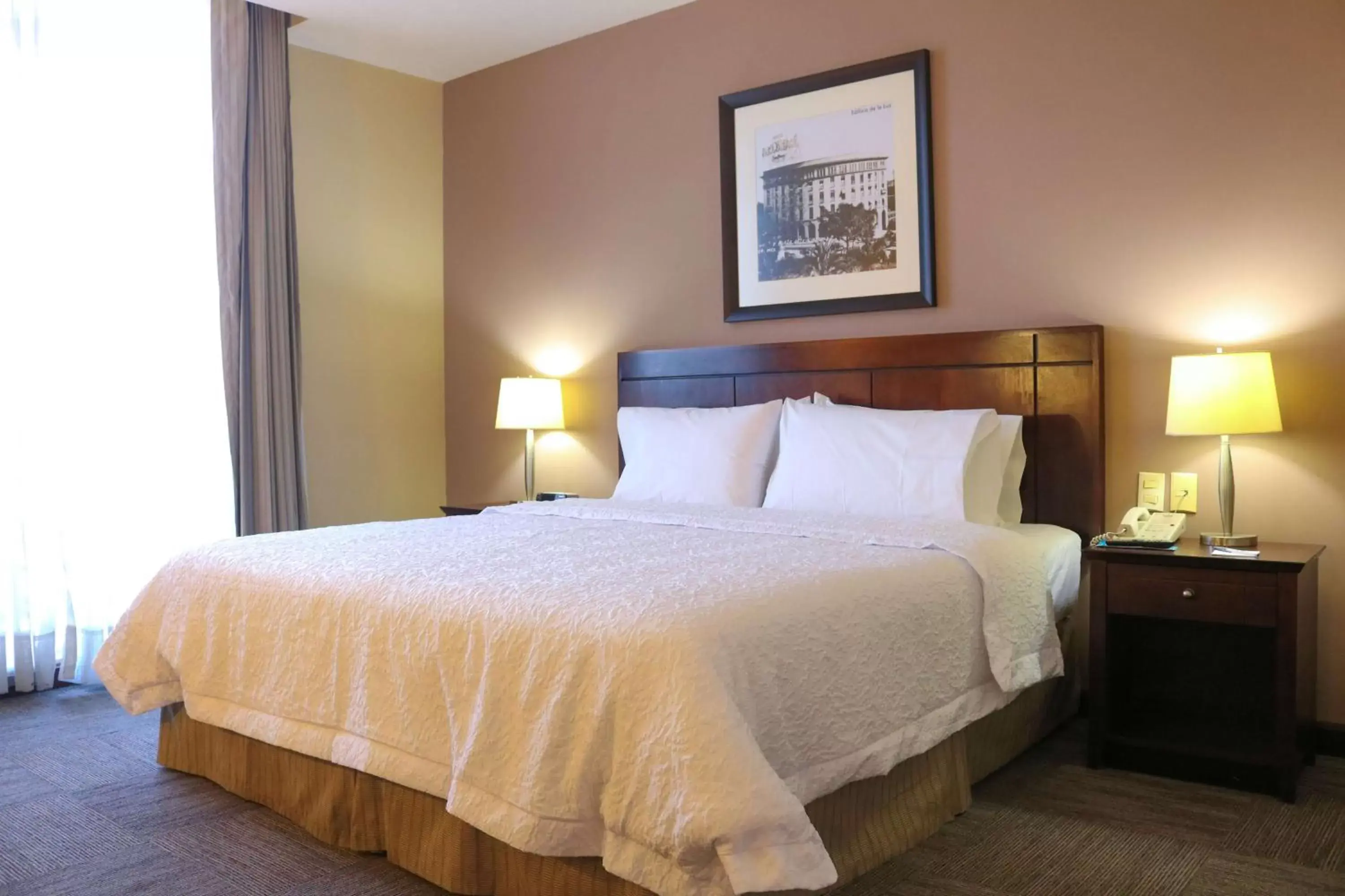 King Room - Non-Smoking in Hampton Inn Tampico Zona Dorada King Room - Non-Smoking in Hampton Inn Tampico Zona Dorada