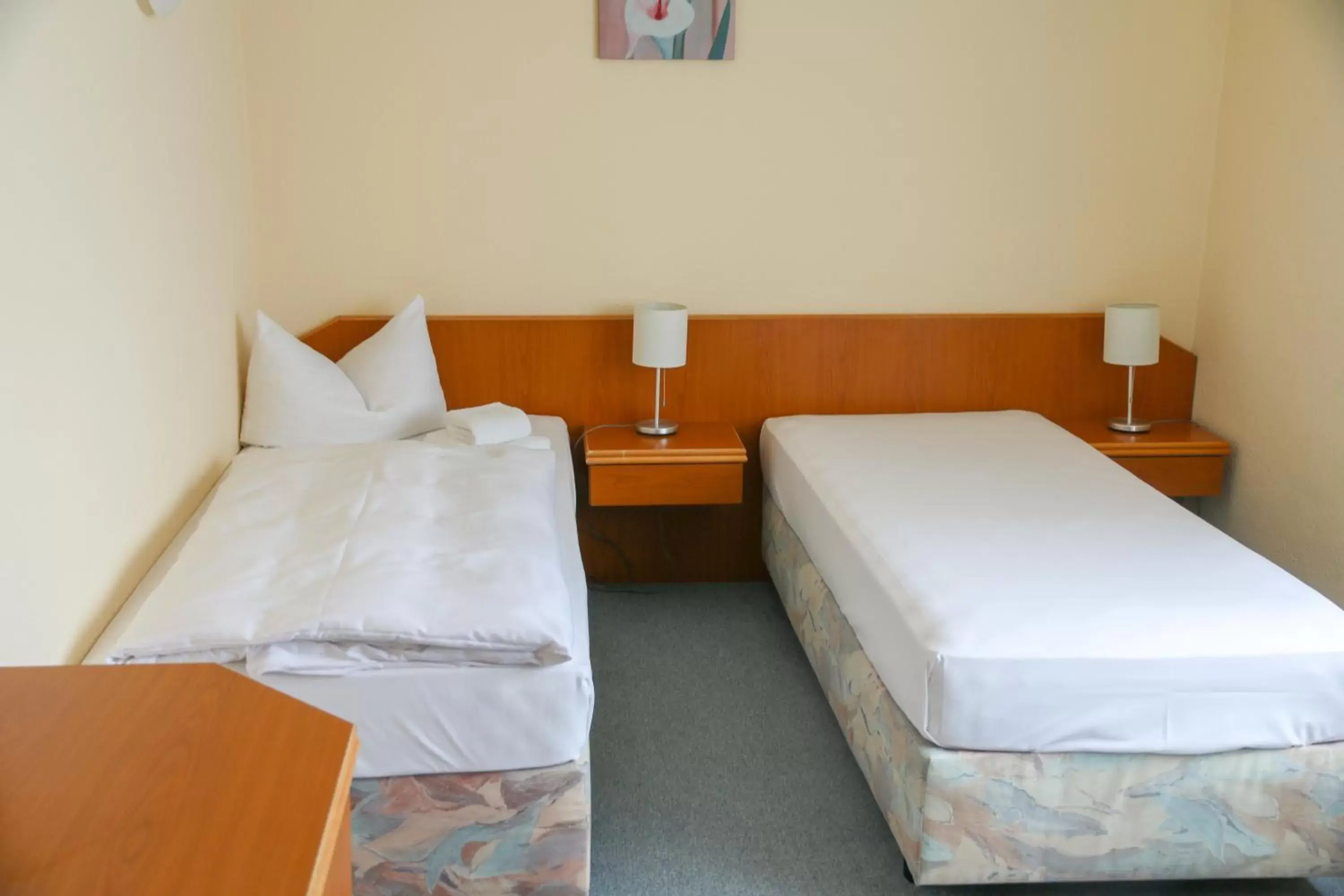 Economy Twin Room - single occupancy in Hotel Stadt Mühlhausen Economy Twin Room - single occupancy in Hotel Stadt Mühlhausen