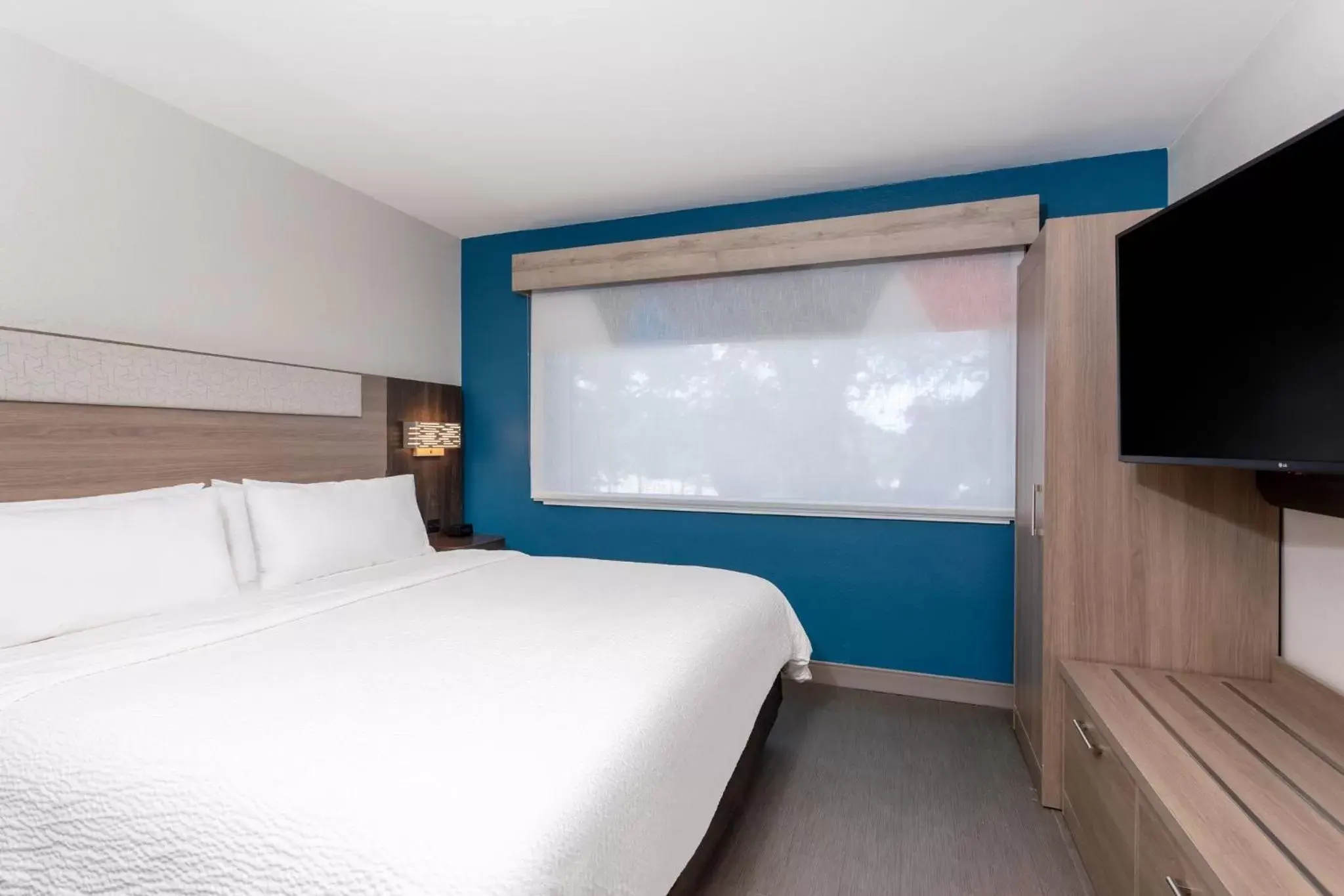 King Room - Mobility Access/Hearing Accessible in Holiday Inn Express Hotel Clearwater East - ICOT Center by IHG King Room - Mobility Access/Hearing Accessible in Holiday Inn Express Hotel Clearwater East - ICOT Center by IHG