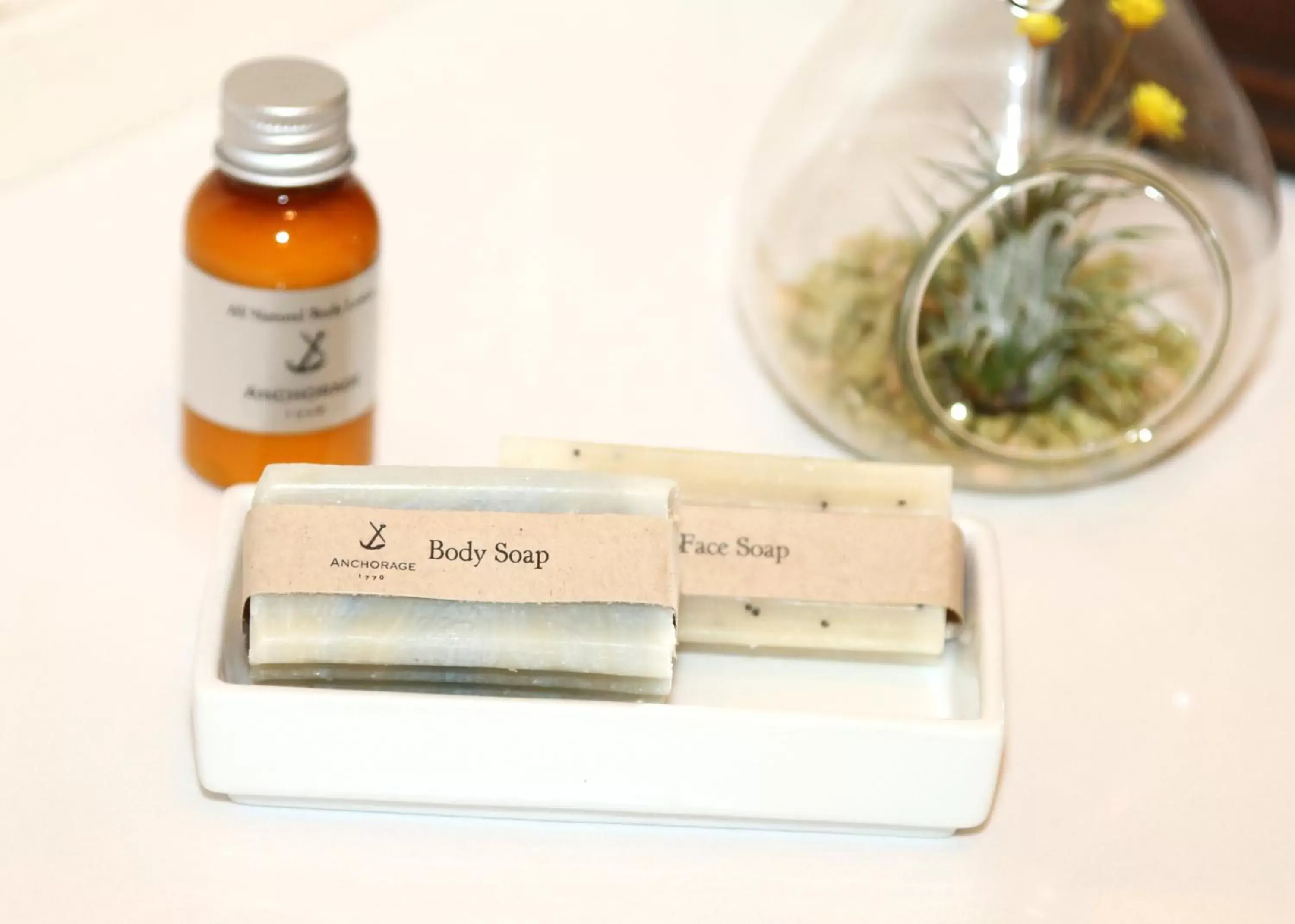 Deluxe King Room in Anchorage 1770 Deluxe King Room in Anchorage 1770