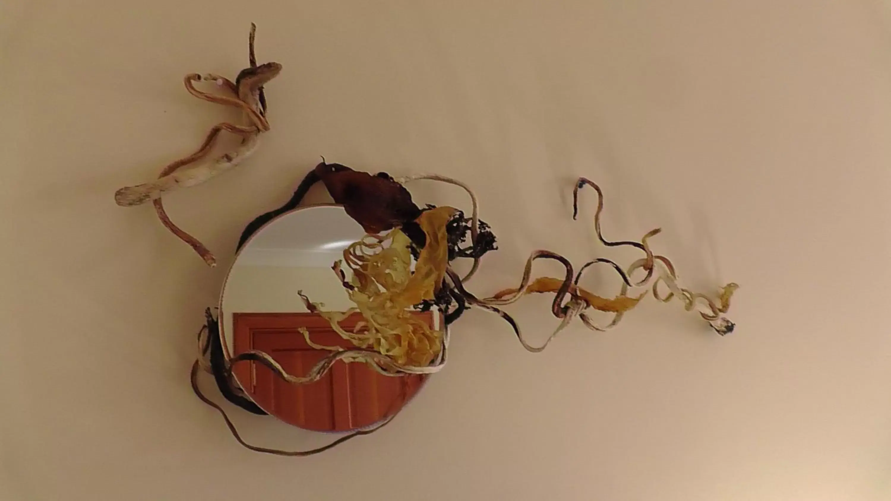 Double Room with Garden View in Wagtail Lodge Double Room with Garden View in Wagtail Lodge