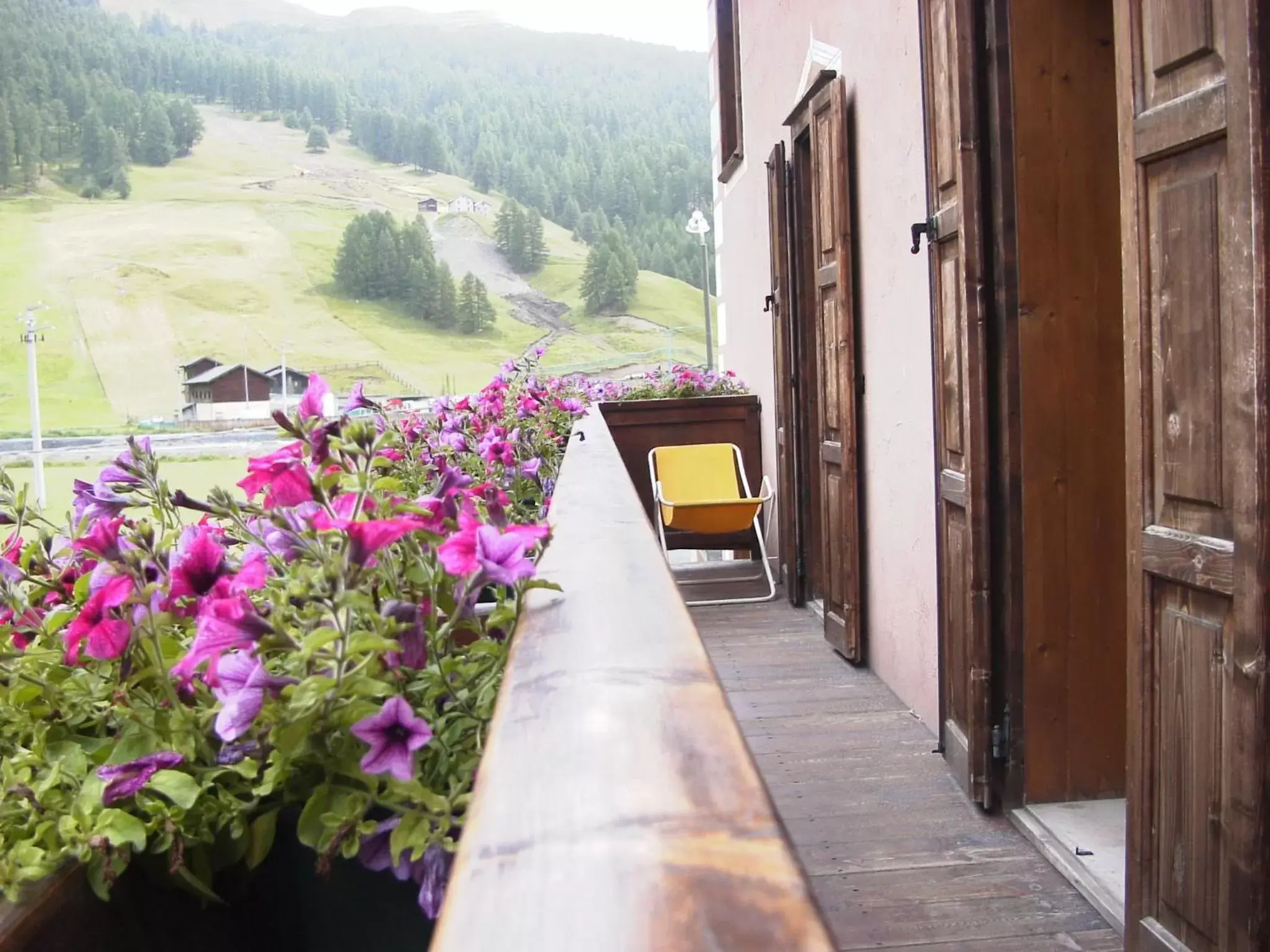 Double or Twin Room in Hotel Adele Double or Twin Room in Hotel Adele