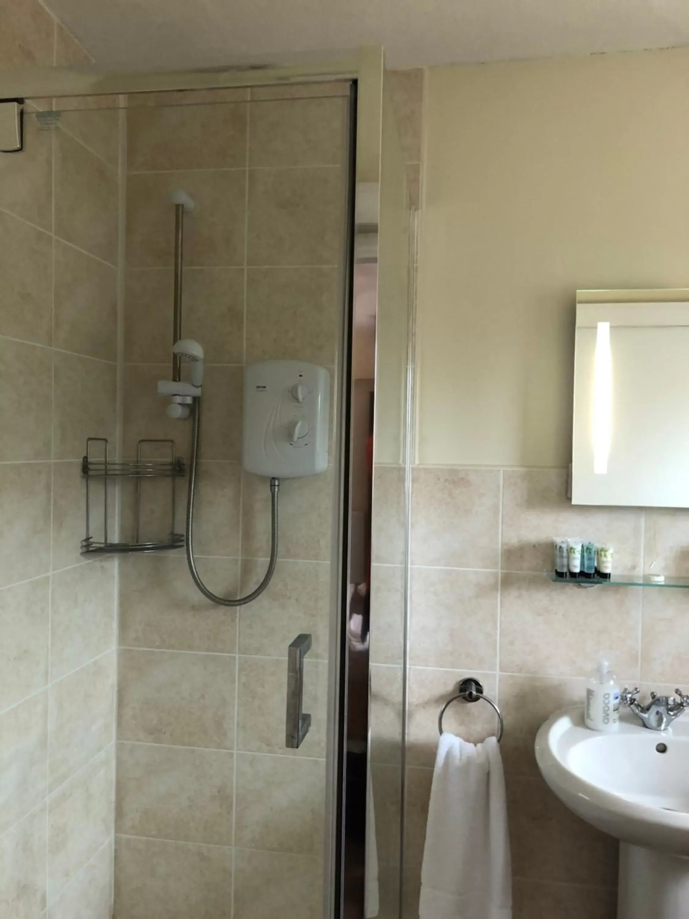 King Room with Garden View in The Lethbridge Arms King Room with Garden View in The Lethbridge Arms