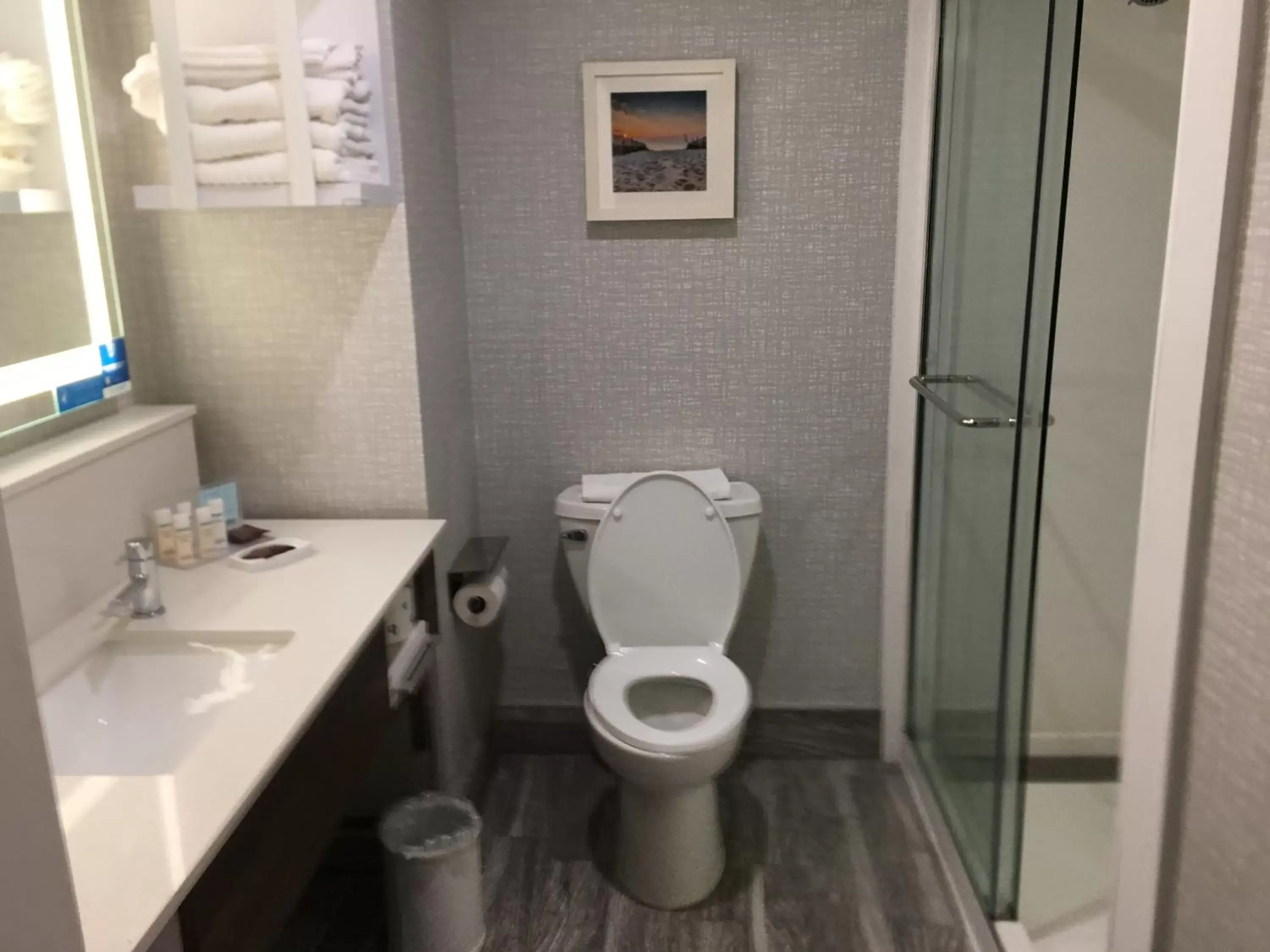 King Room with ADA Shower - Mobility/Hearing Accessible in Hampton Inn Old Bridge NJ King Room with ADA Shower - Mobility/Hearing Accessible in Hampton Inn Old Bridge NJ