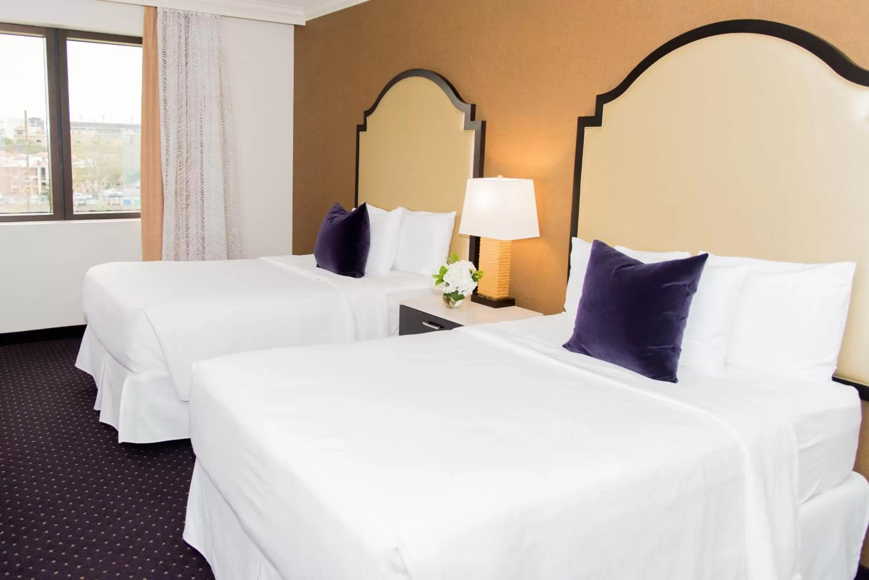 Deluxe Double Room - single occupancy in The Cook Hotel and Conference Center at LSU Deluxe Double Room - single occupancy in The Cook Hotel and Conference Center at LSU