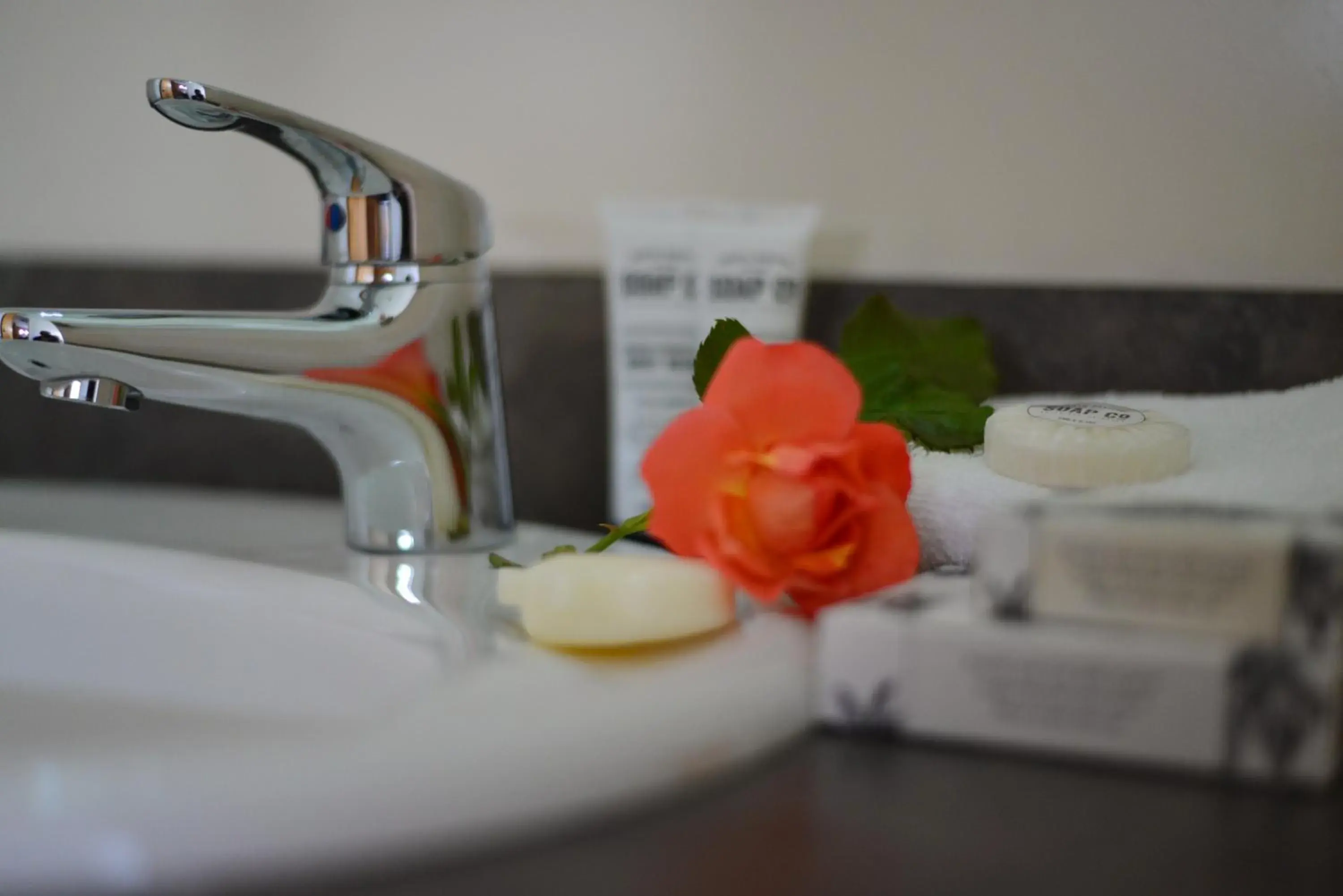 Twin Room in Abisko Lodge Twin Room in Abisko Lodge