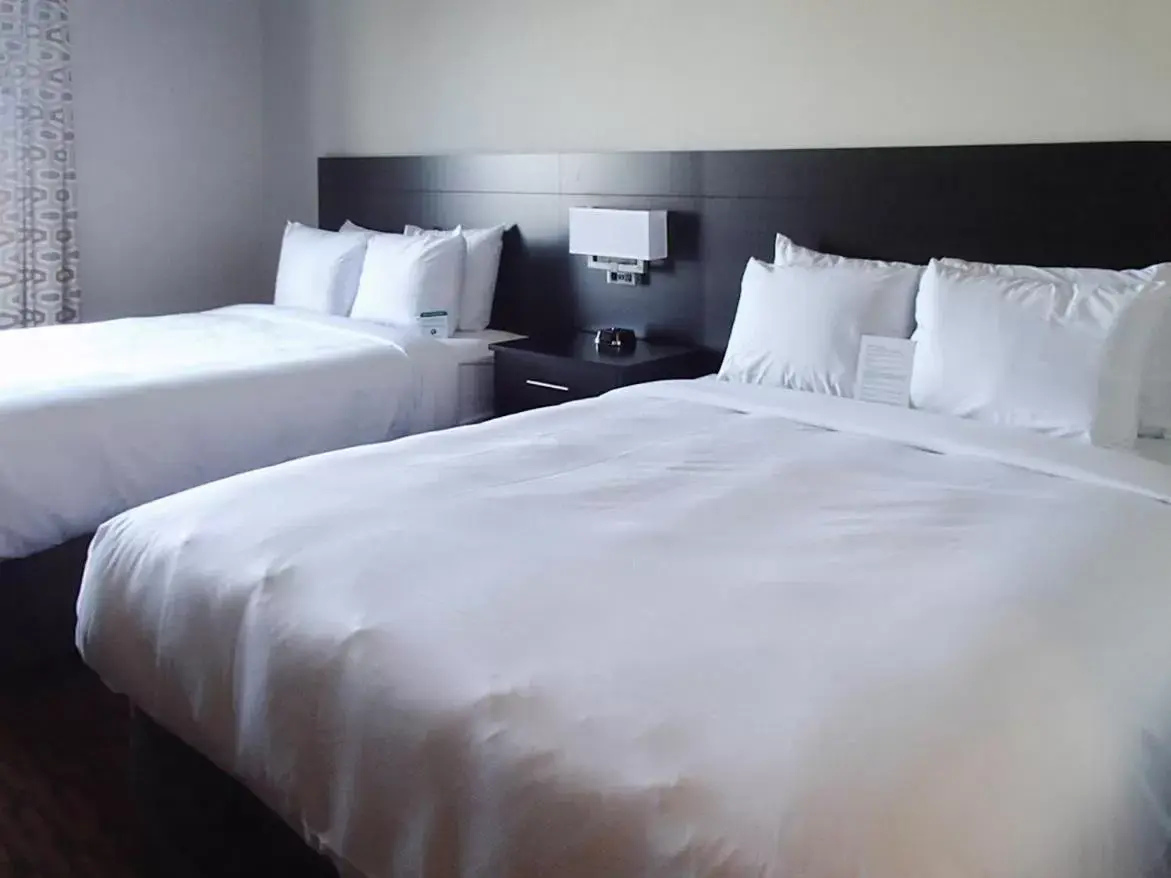 Queen Room with Two Queen Beds in Suburban Studios Midland I-20 Queen Room with Two Queen Beds in Suburban Studios Midland I-20