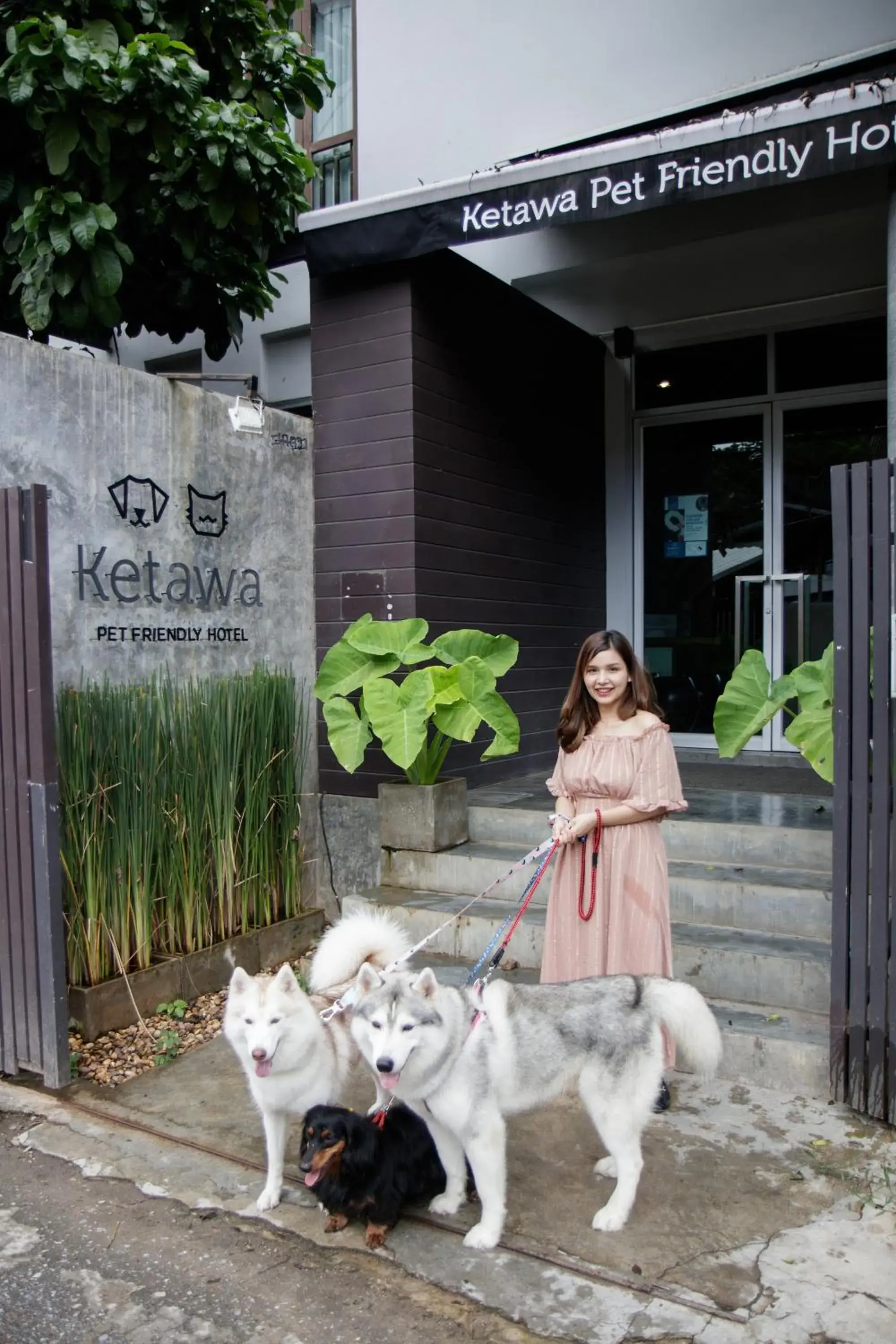 Ketawa Pet Friendly Hotel Ketawa Pet Friendly Hotel
