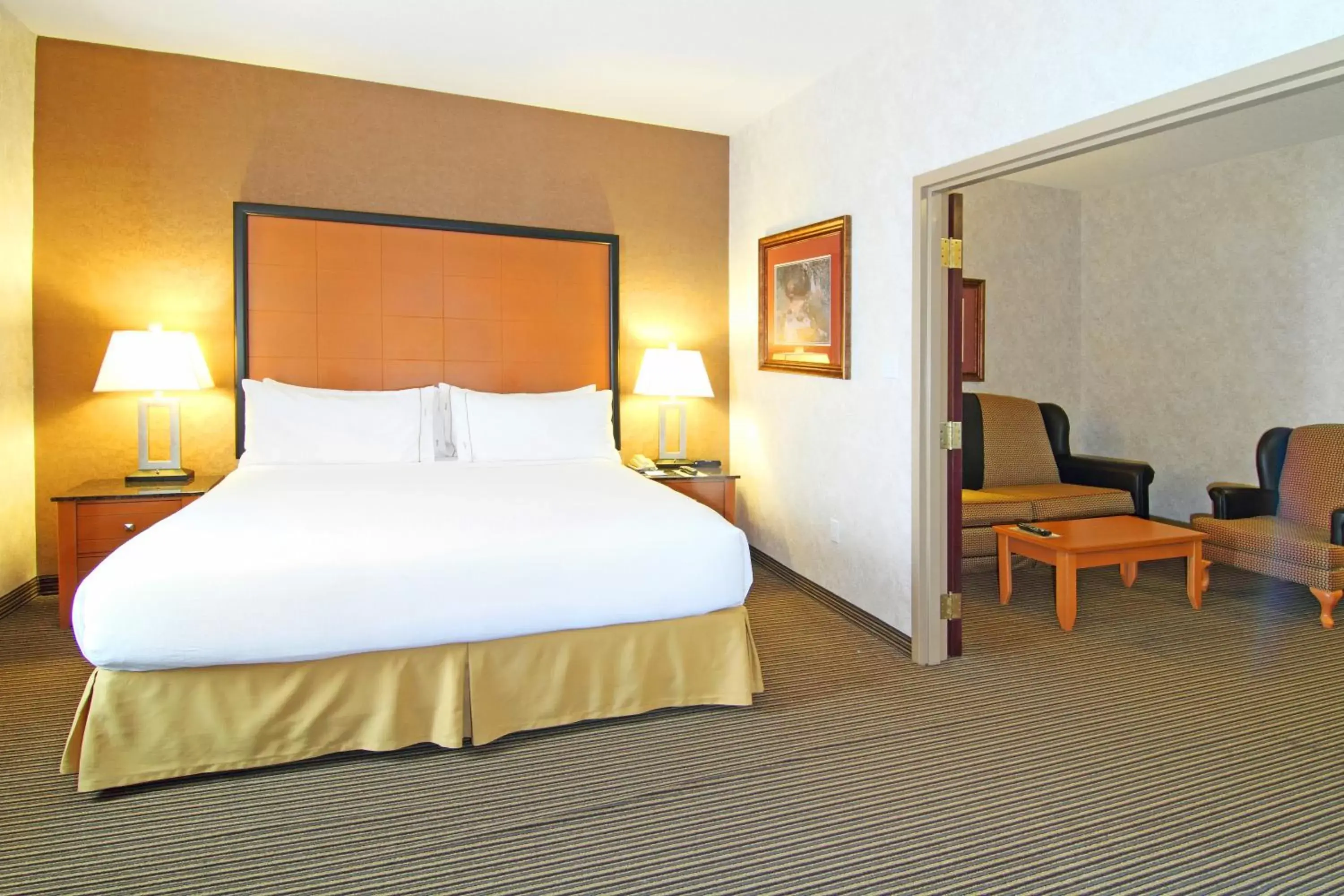 Holiday Inn Express Calgary South by IHG Holiday Inn Express Calgary South by IHG