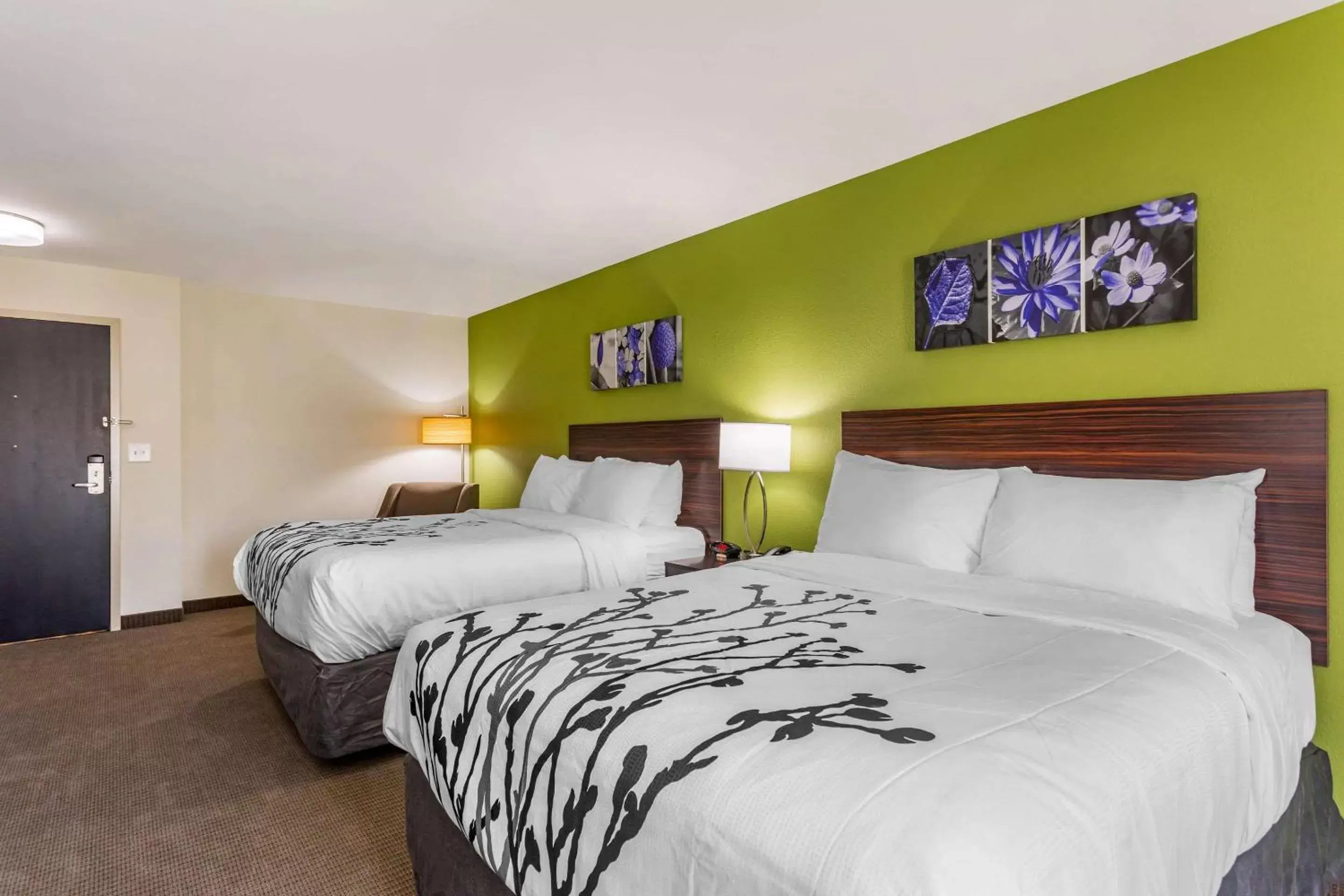 Queen Room with Two Queen Beds - Accessible/Non-Smoking in Sleep Inn & Suites Gallatin - Nashville Metro Queen Room with Two Queen Beds - Accessible/Non-Smoking in Sleep Inn & Suites Gallatin - Nashville Metro